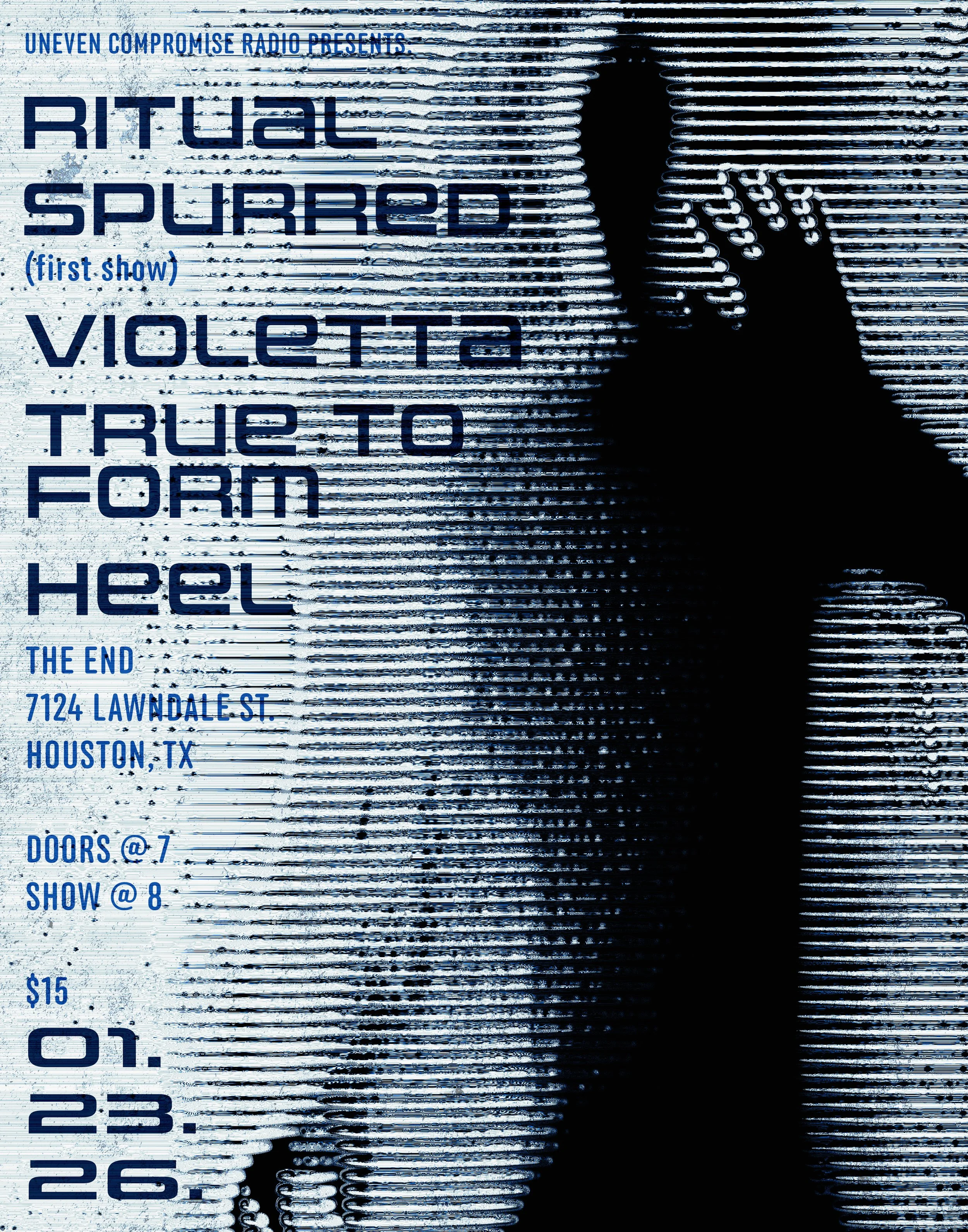 Spurred Space Flyer 2 - 11x14.jpg
