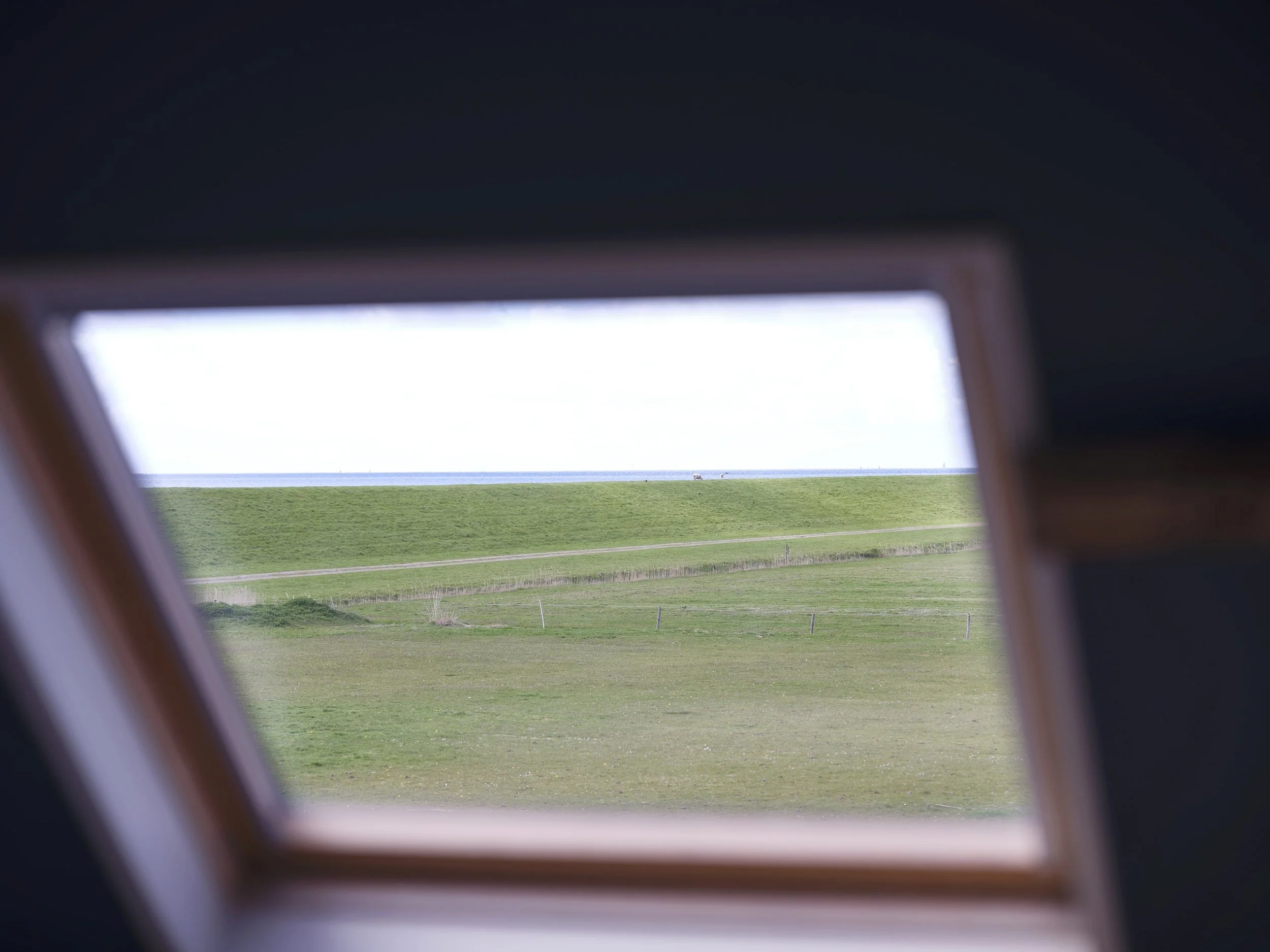 DSCF3713.jpg
