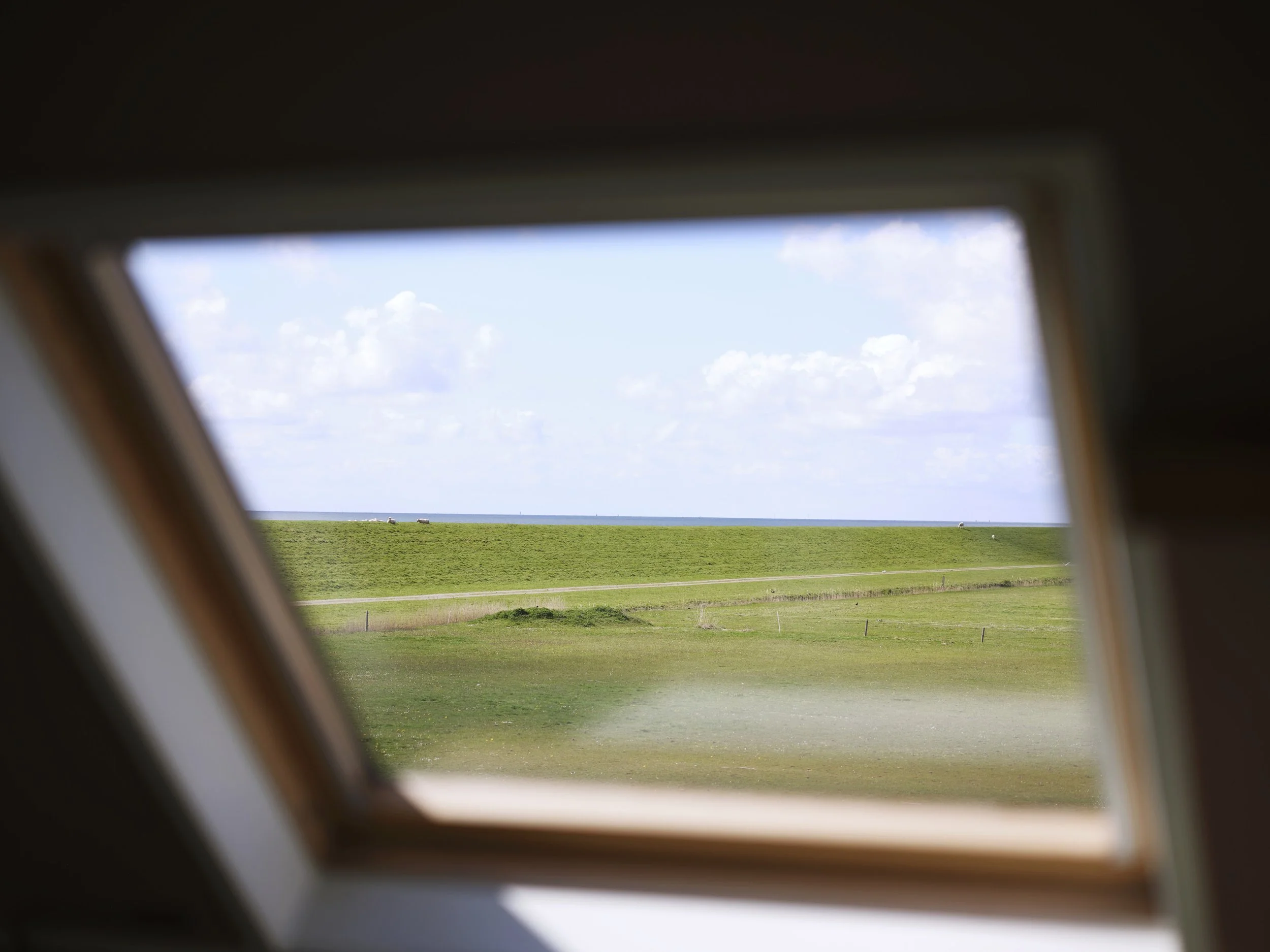 DSCF3738.jpg