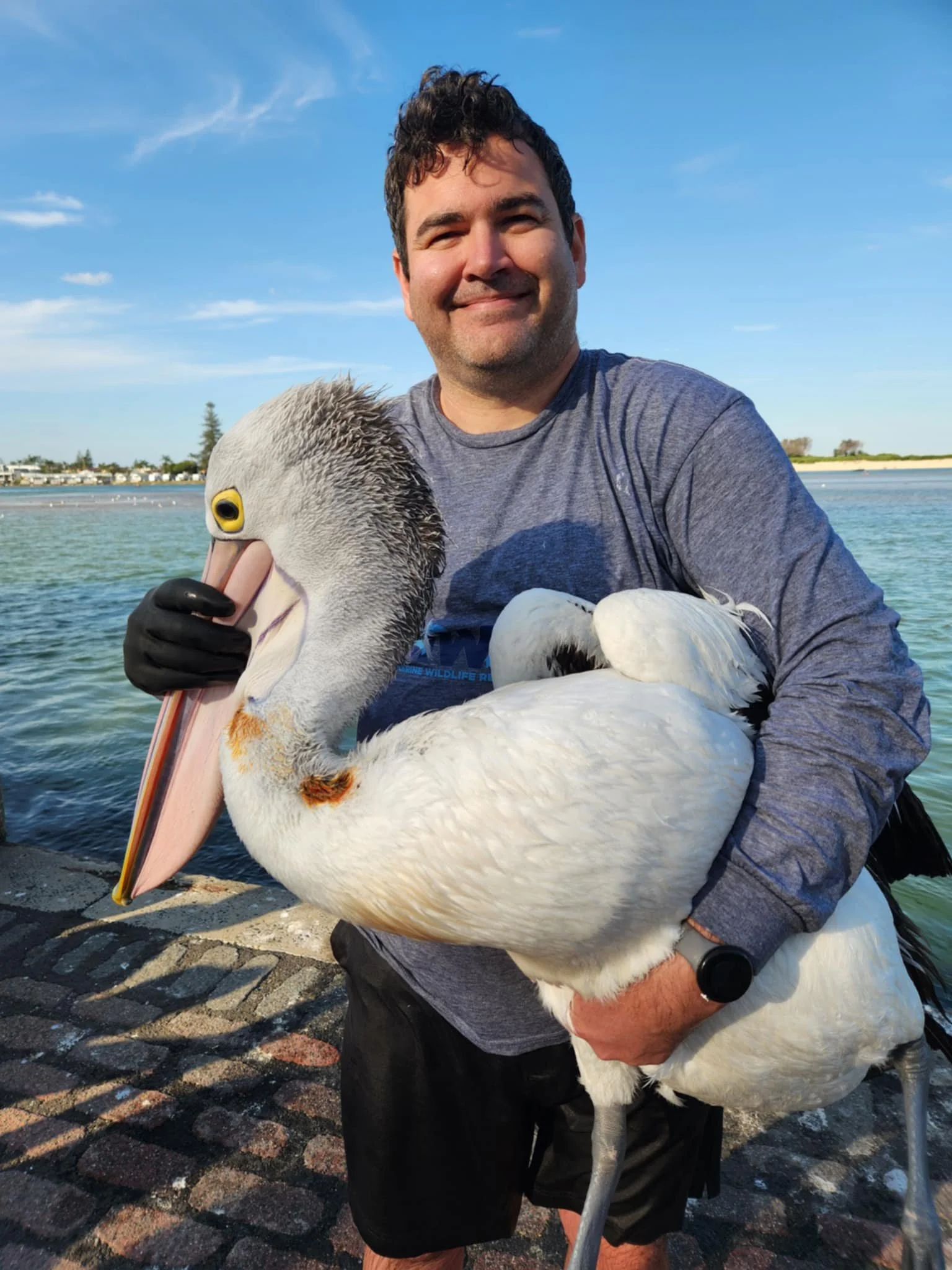 A man holding a large stuffed pelican toy and a real pelican near a body of water on a sunny day.