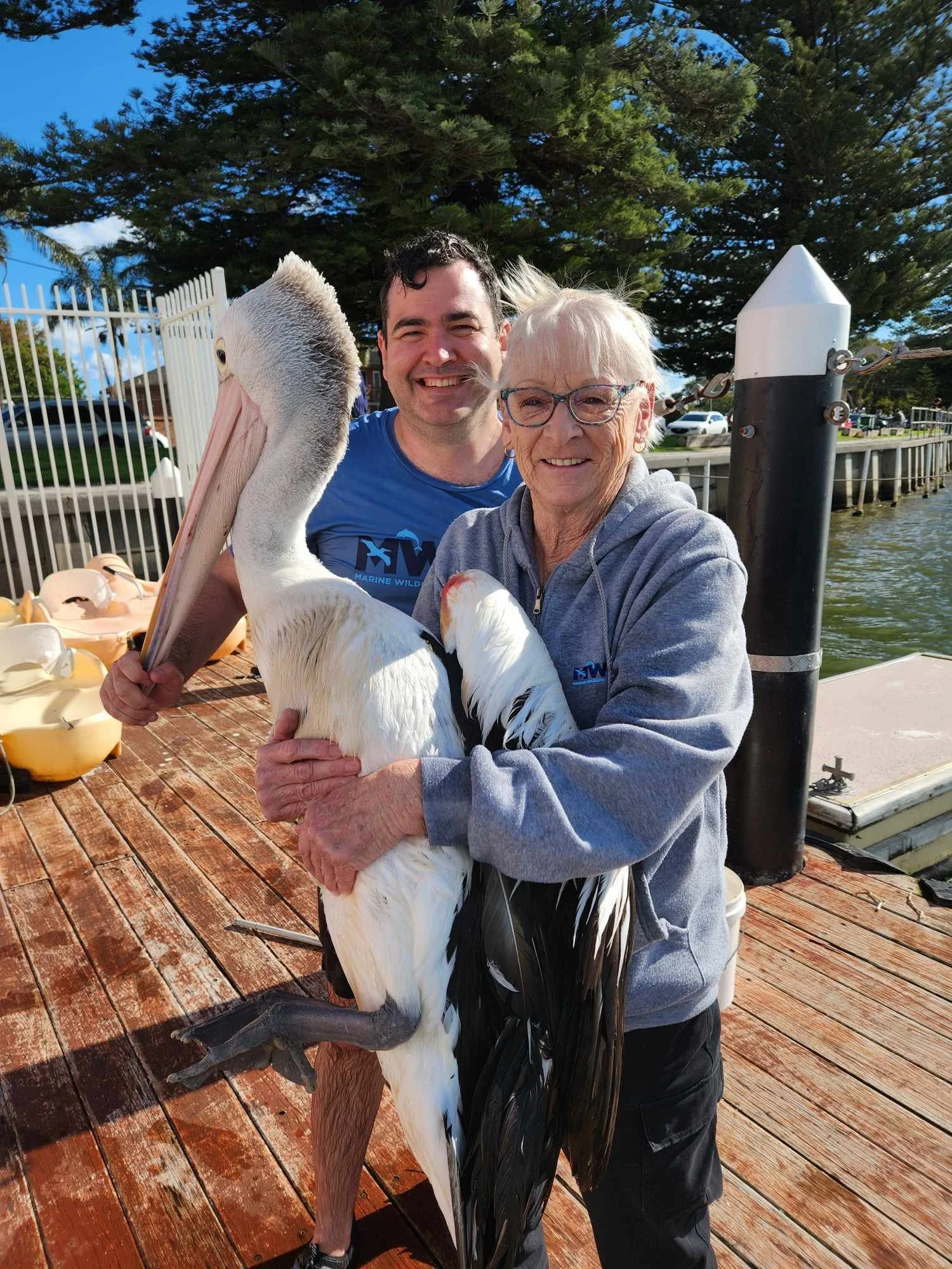 An elderly woman and a younger man are holding a large pelican together on a wooden dock by the water, smiling at the camera, with trees and parked cars in the background on a sunny day.