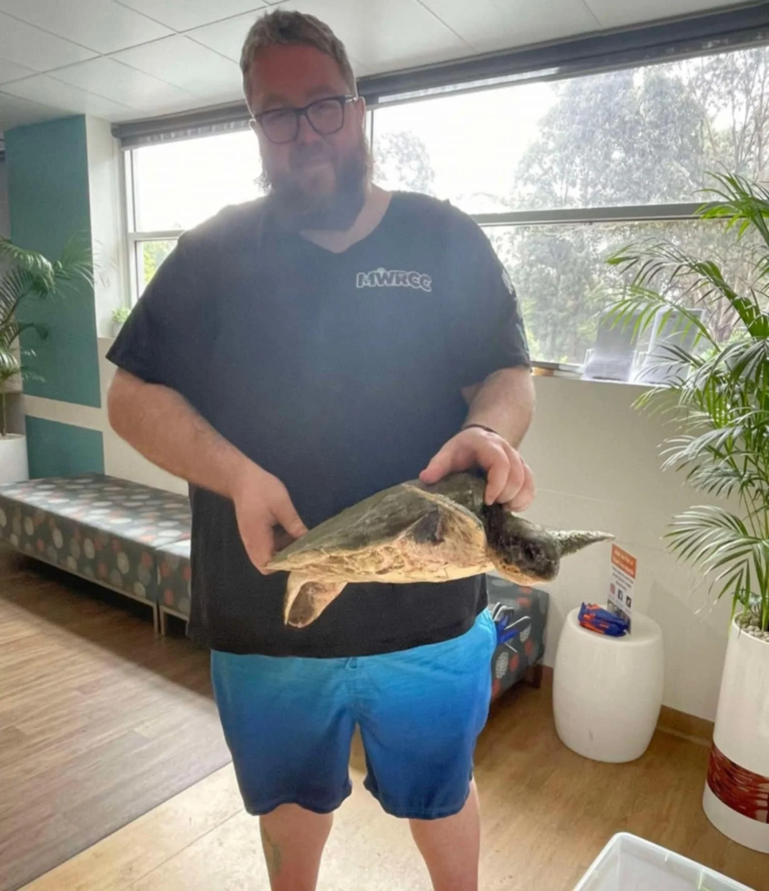 A man with glasses and a beard wearing a black T-shirt and blue shorts holding a turtle indoors with large windows and plants in the background.