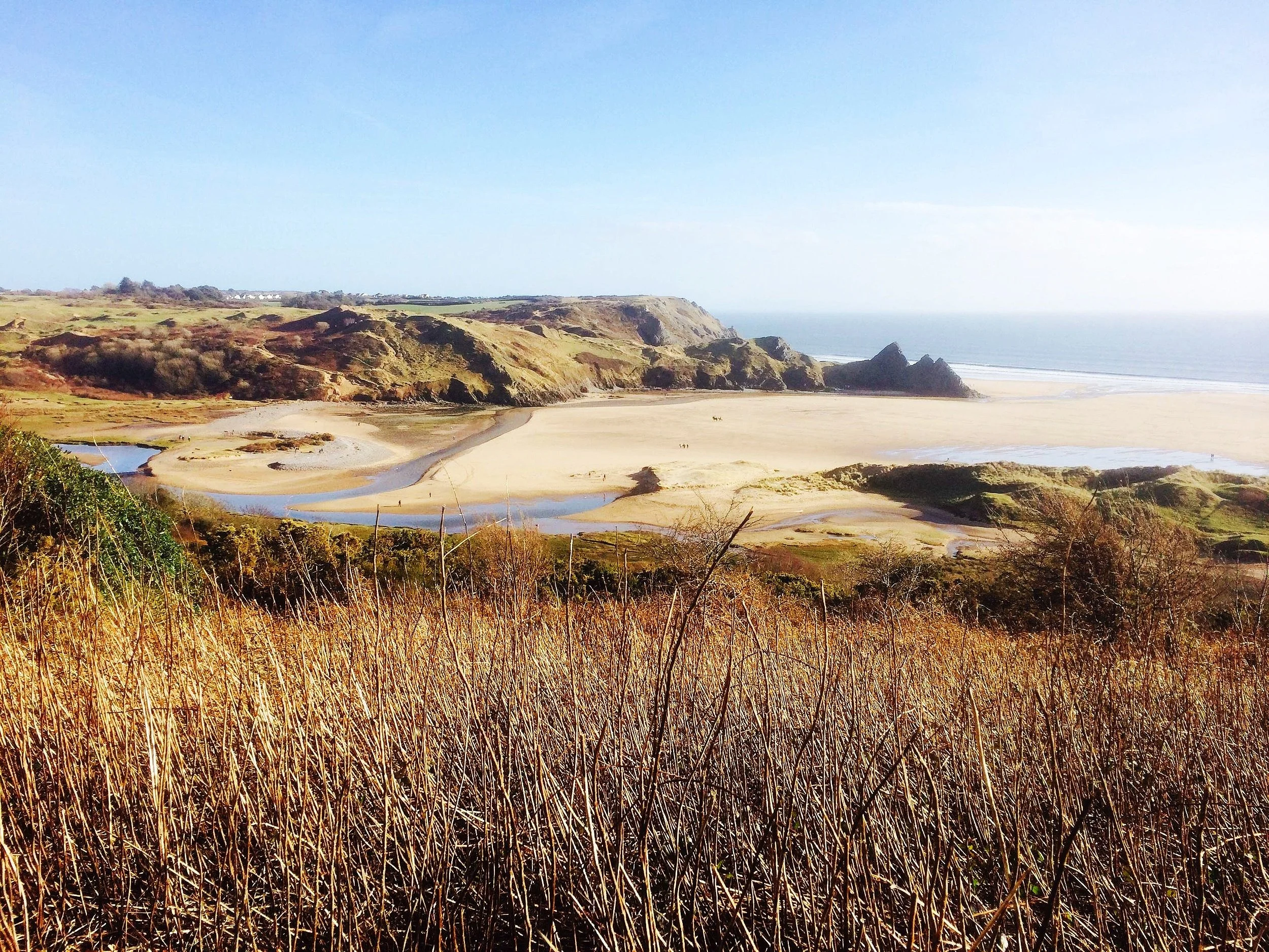 Gower Unearthed