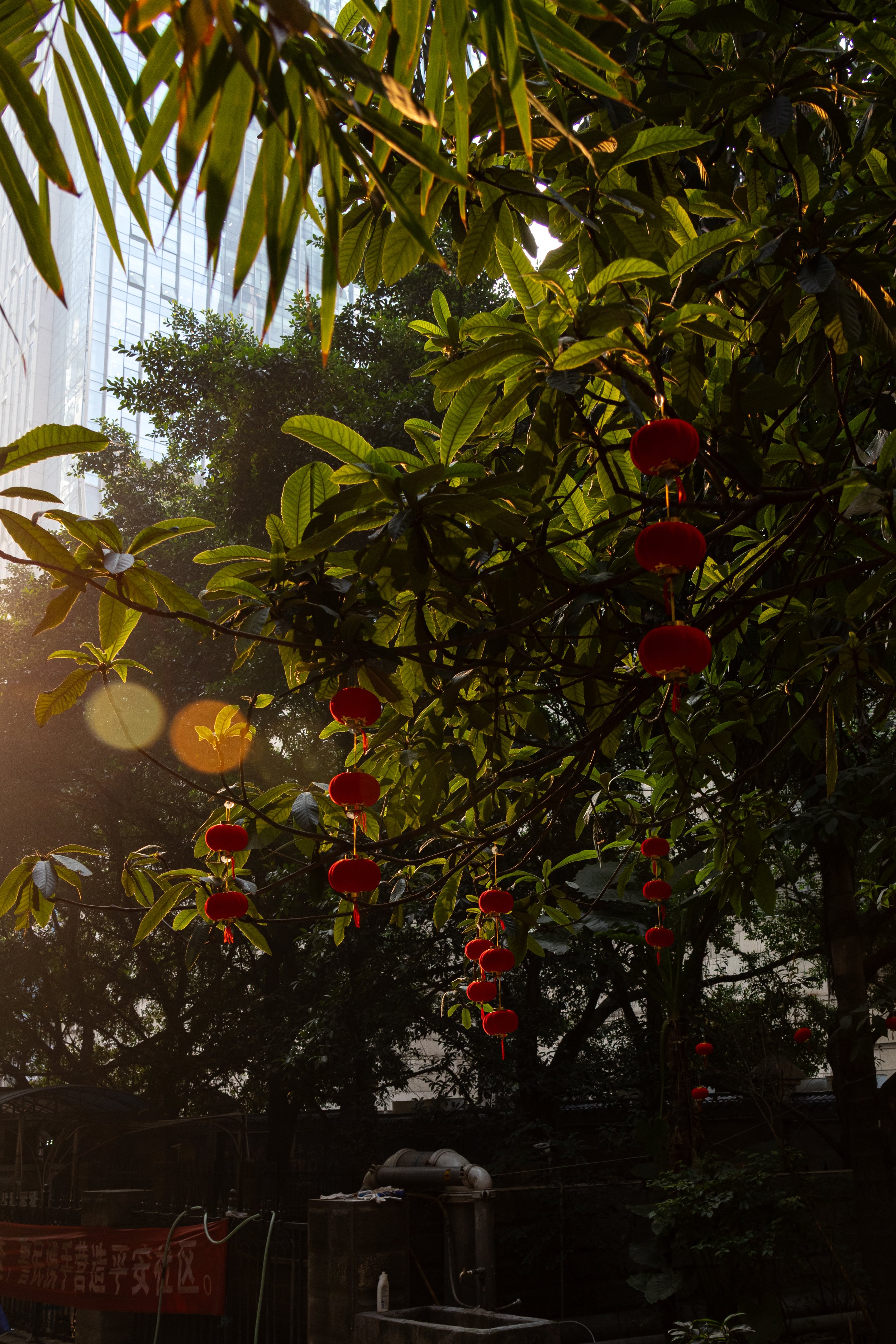 chongqing-20.jpg