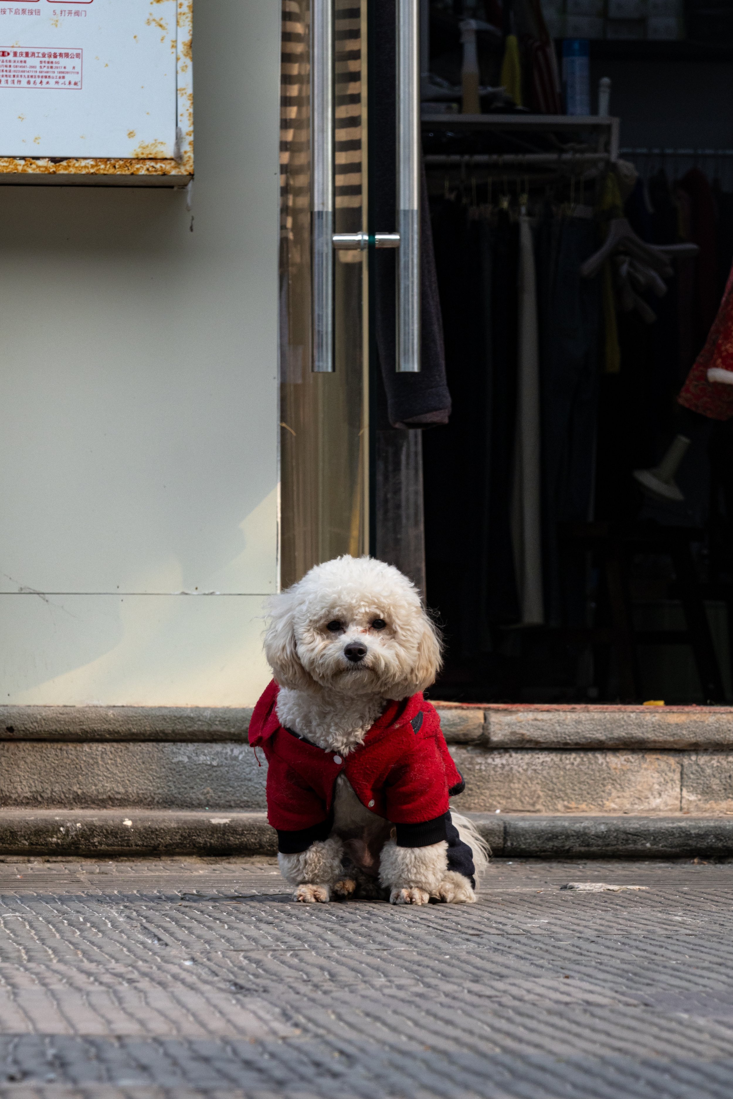chongqing-04.jpg