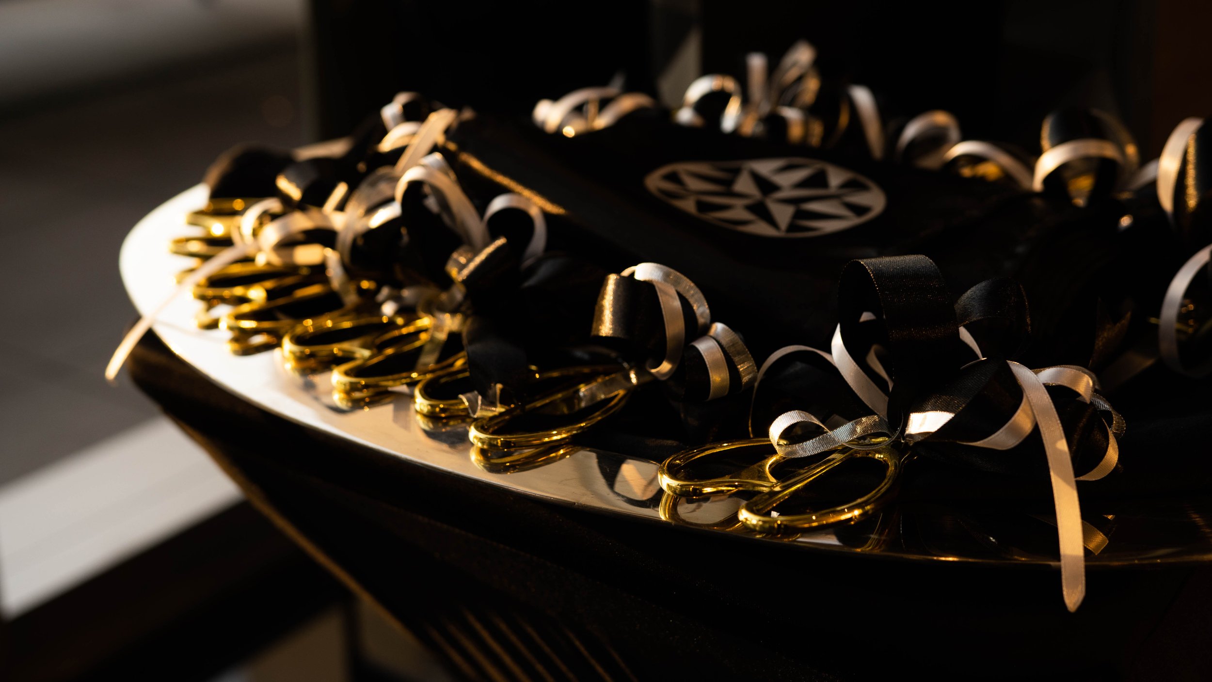 Galeria Plaza Mty Opening