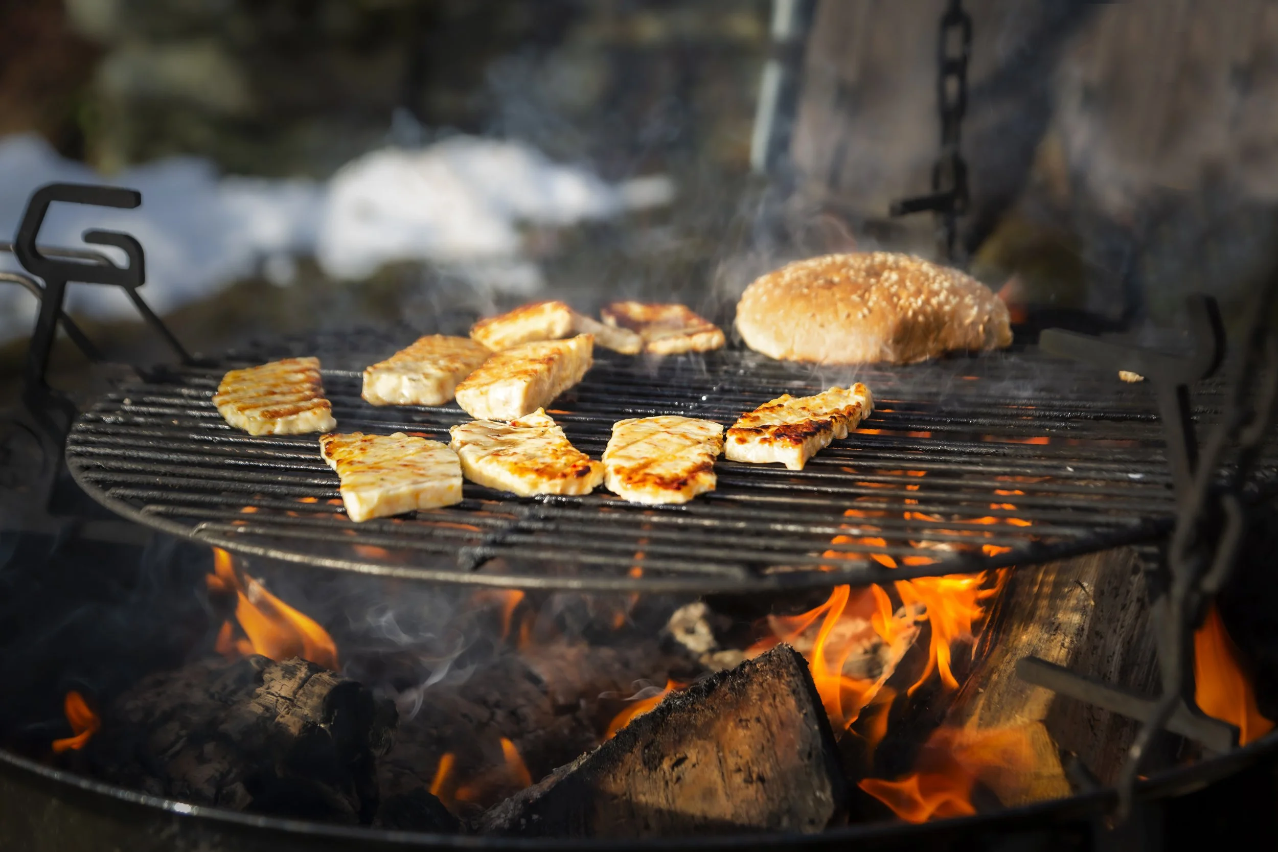 GLIMT FRÅ NERNES GARD, MARS 2024:
Påsken er ei fin tid for steikeost i bålpanna! Bonde, sagbrukar og styreleiar Peder sin favoritt er chili. Han og familien på Mundheim et gjerne steikeosten mellom hamburgerbrød og salat, og piffar det heile opp med