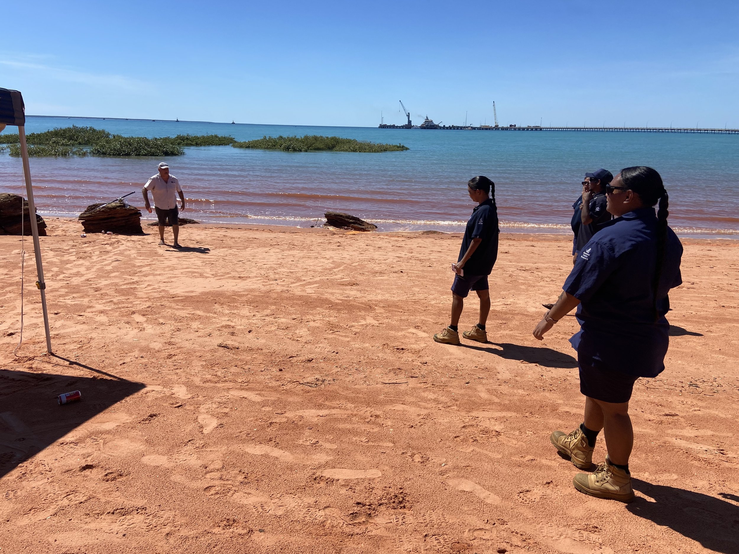 People standing on a sandy beach near the water, with a long pier extending into the ocean, and large green plants in the shallow water. The sky is clear and blue, and a man is walking on the beach, while others stand in a line.
