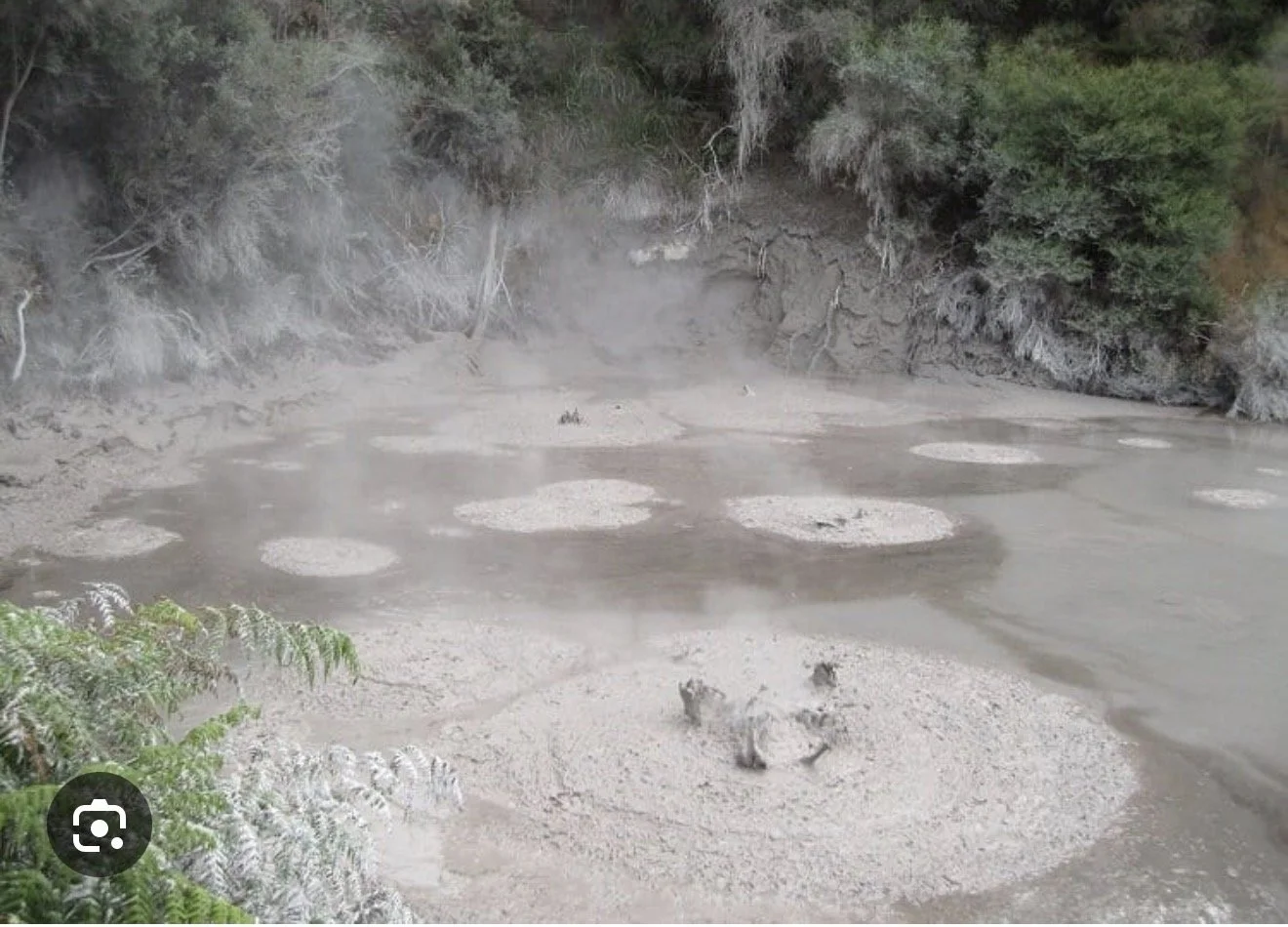 A geothermal hot spring with bubbling mud pools on a sandy surface, surrounded by trees and shrubbery at the edges.