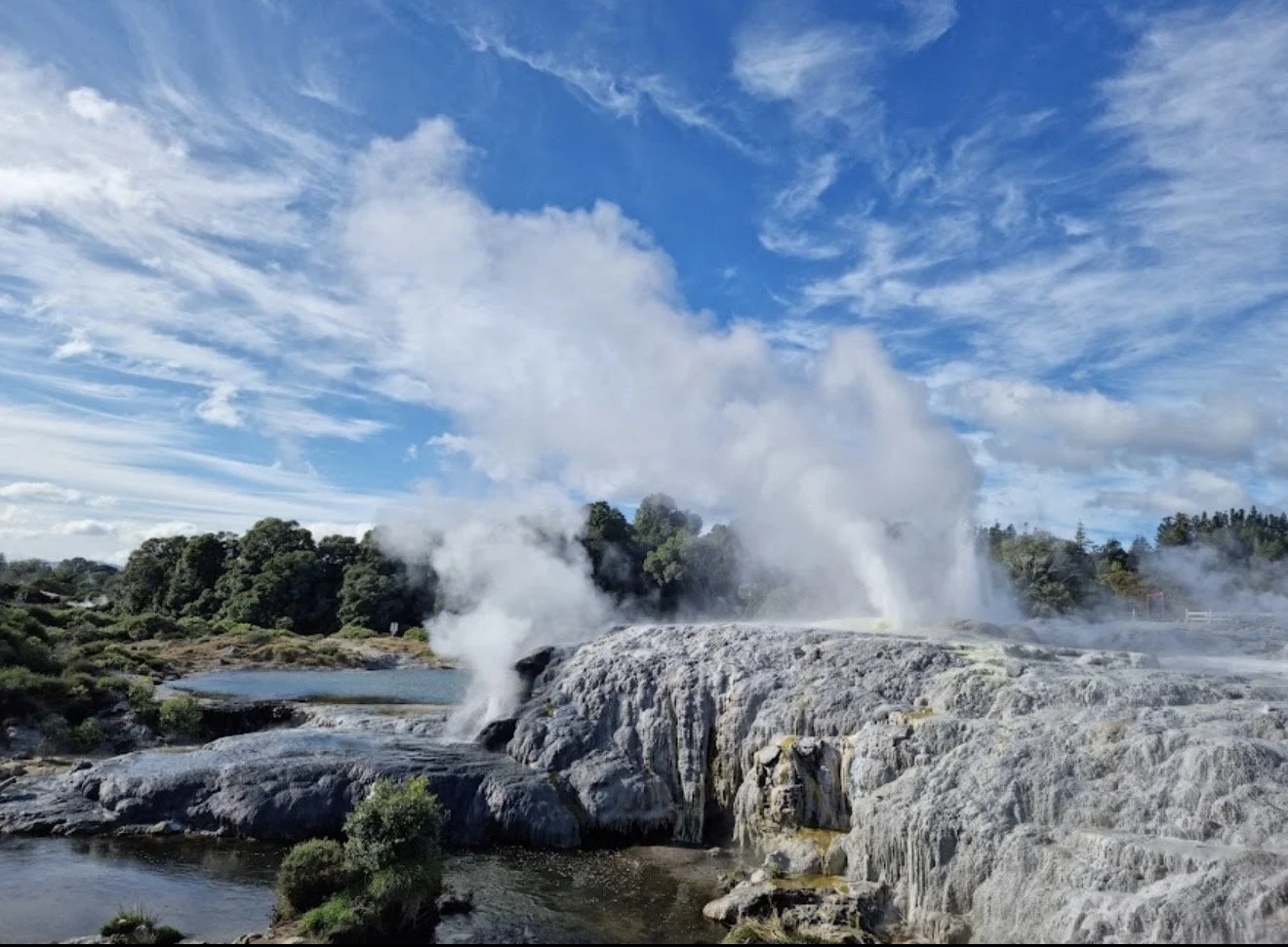 Geothermal geysers erupting under a blue sky with scattered clouds, surrounded by green trees and rocky terrain.
