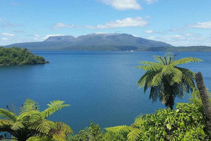 Rotorua to Blue Lake $28 per vehicle each direction.
Click the above photo to move to the booking page.