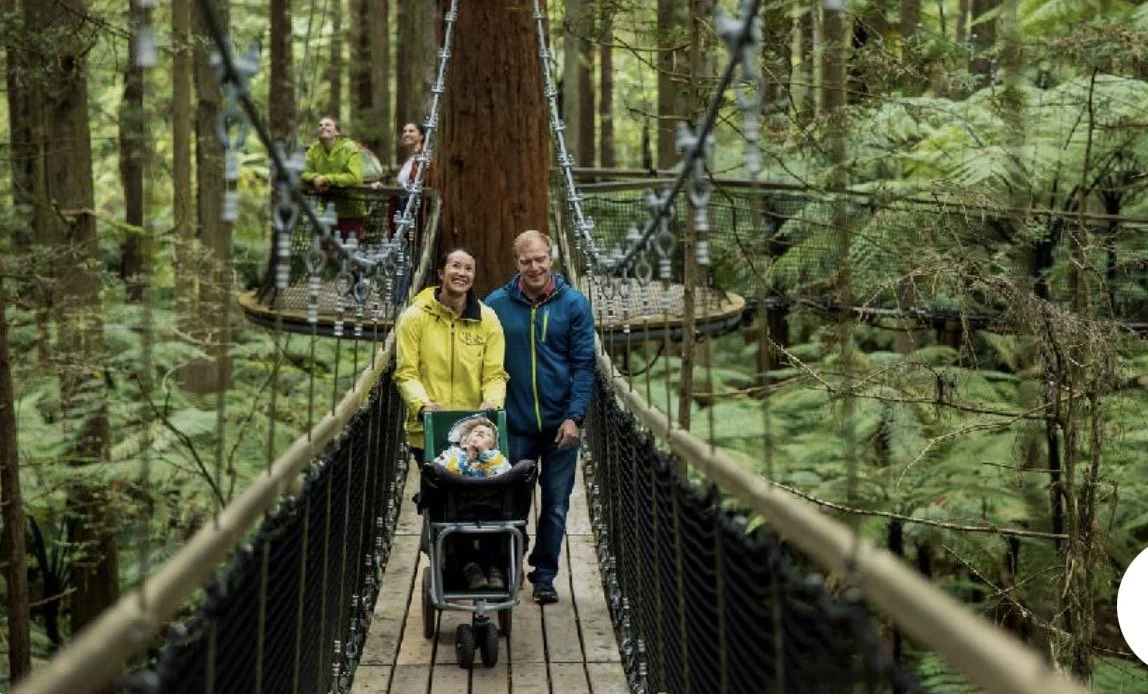 People walking on a suspension bridge in a forest with trees and greenery.