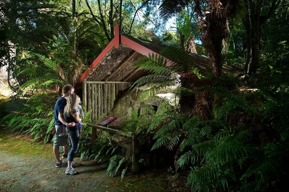 Rotorua to The Buried Village $36 per vehicle each direction. 
Click the above photo to move to the booking page.