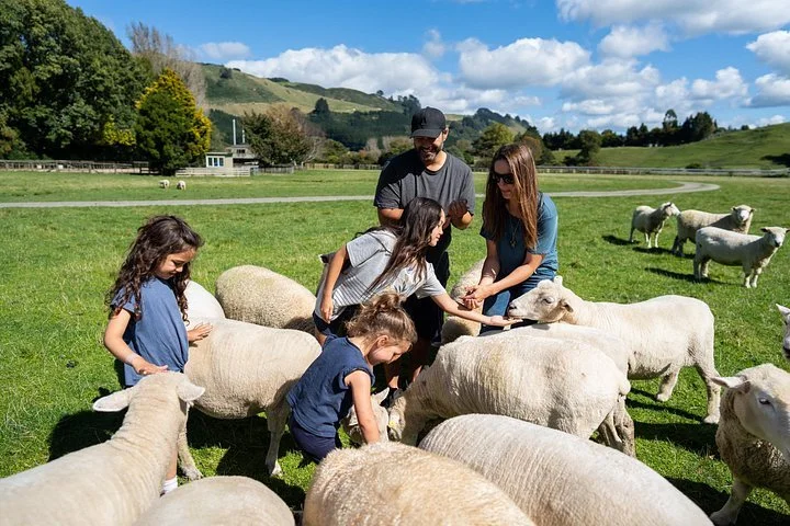 Rotorua to Agrodome $24 per vehicle each direction.
Click the above photo to move to the booking page.