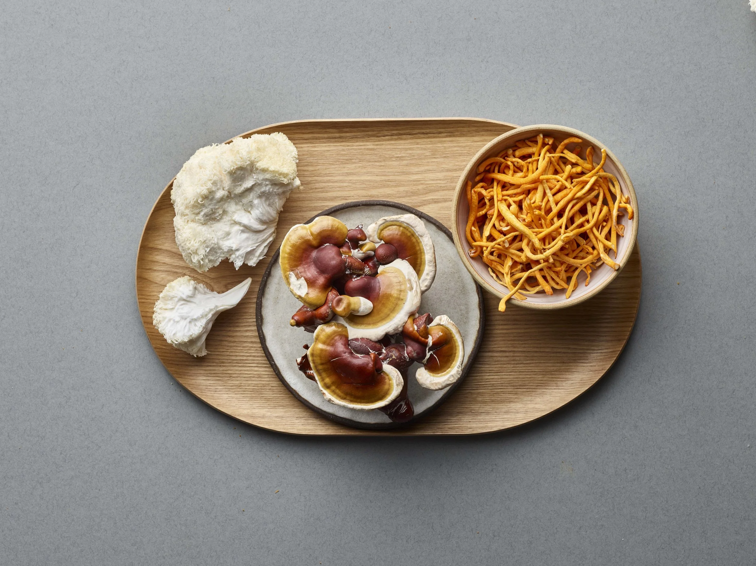 Functional mushrooms used for stress support