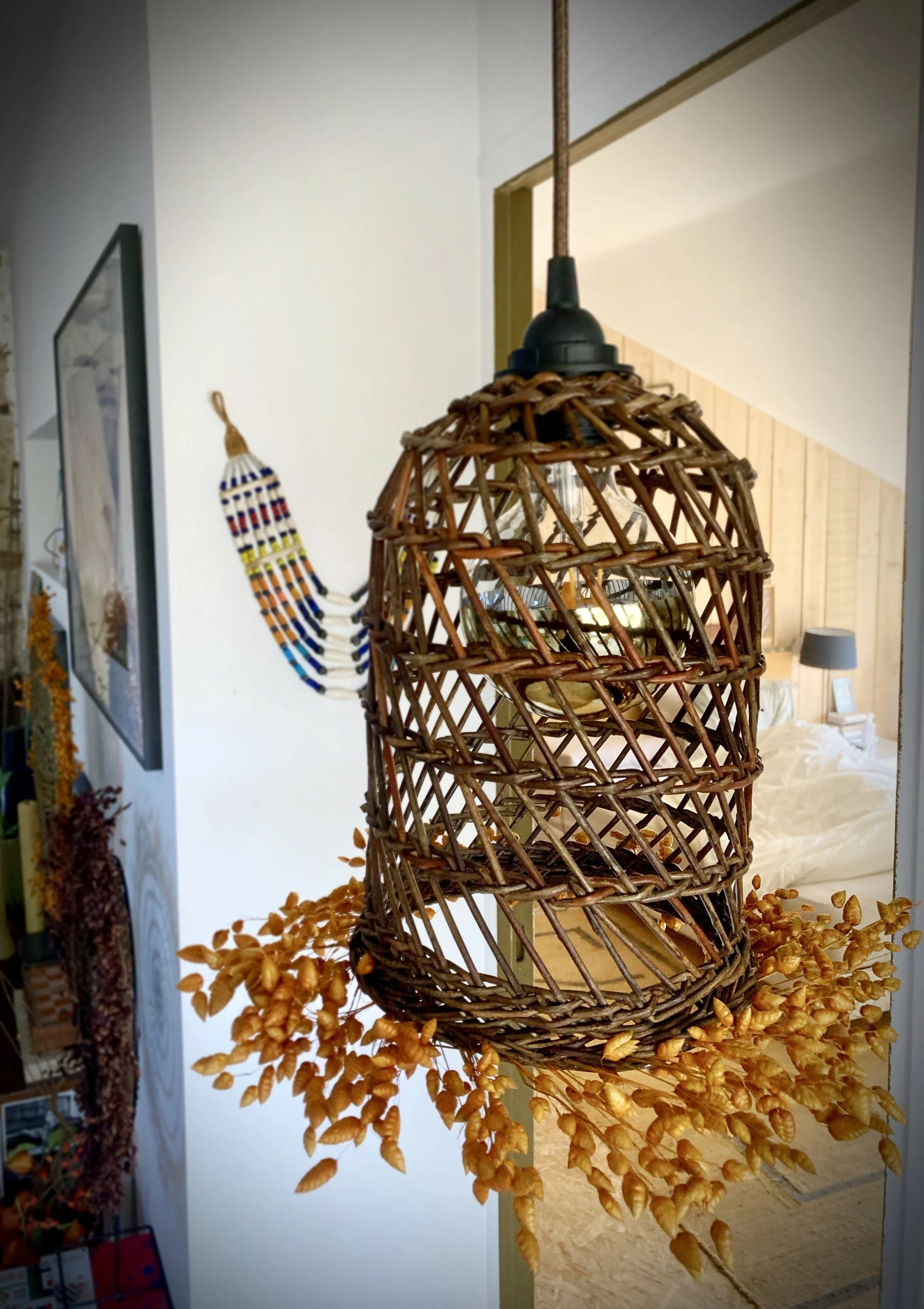 baladeuse graines.jpg