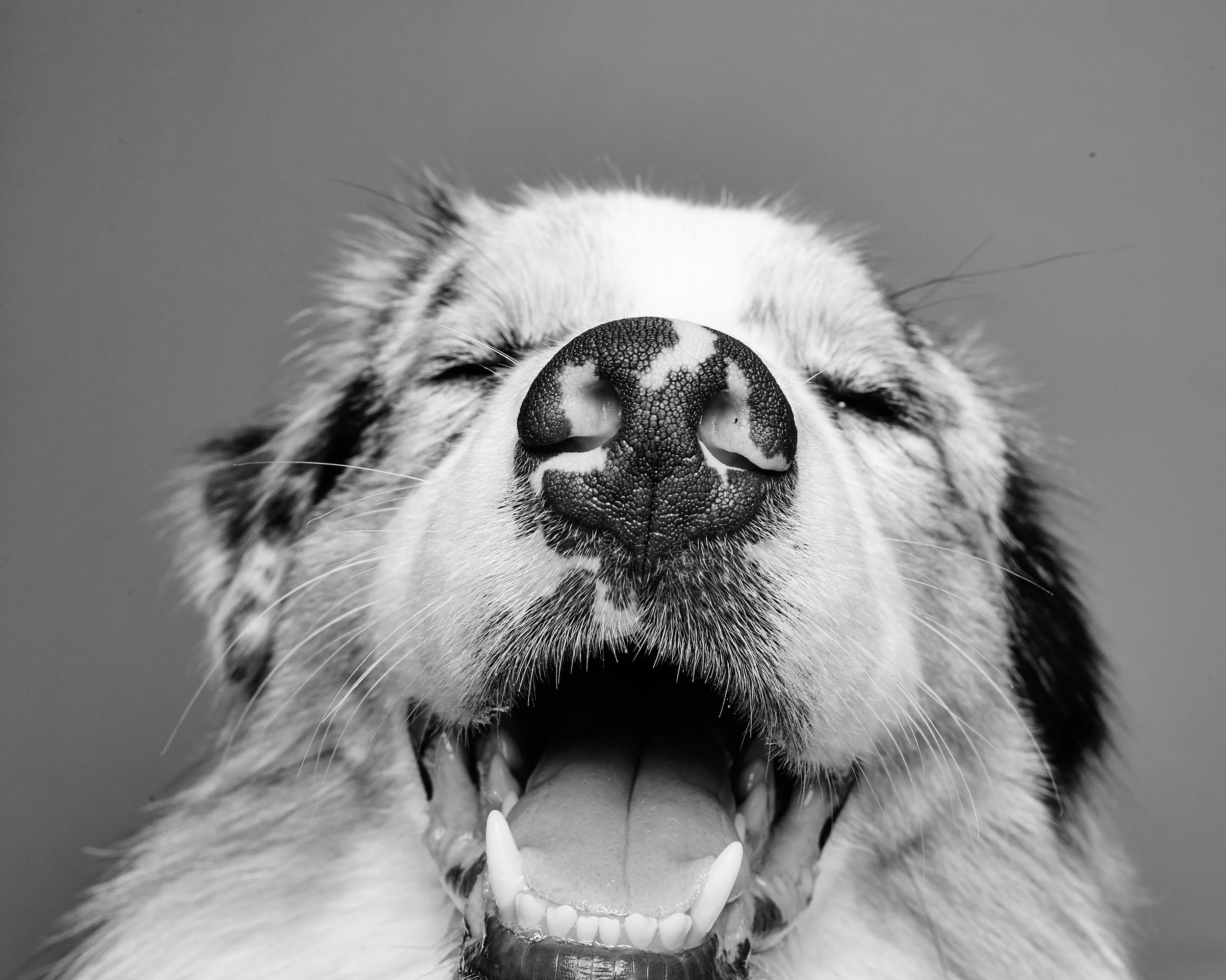 REO_THE_NOSE_0147.jpg