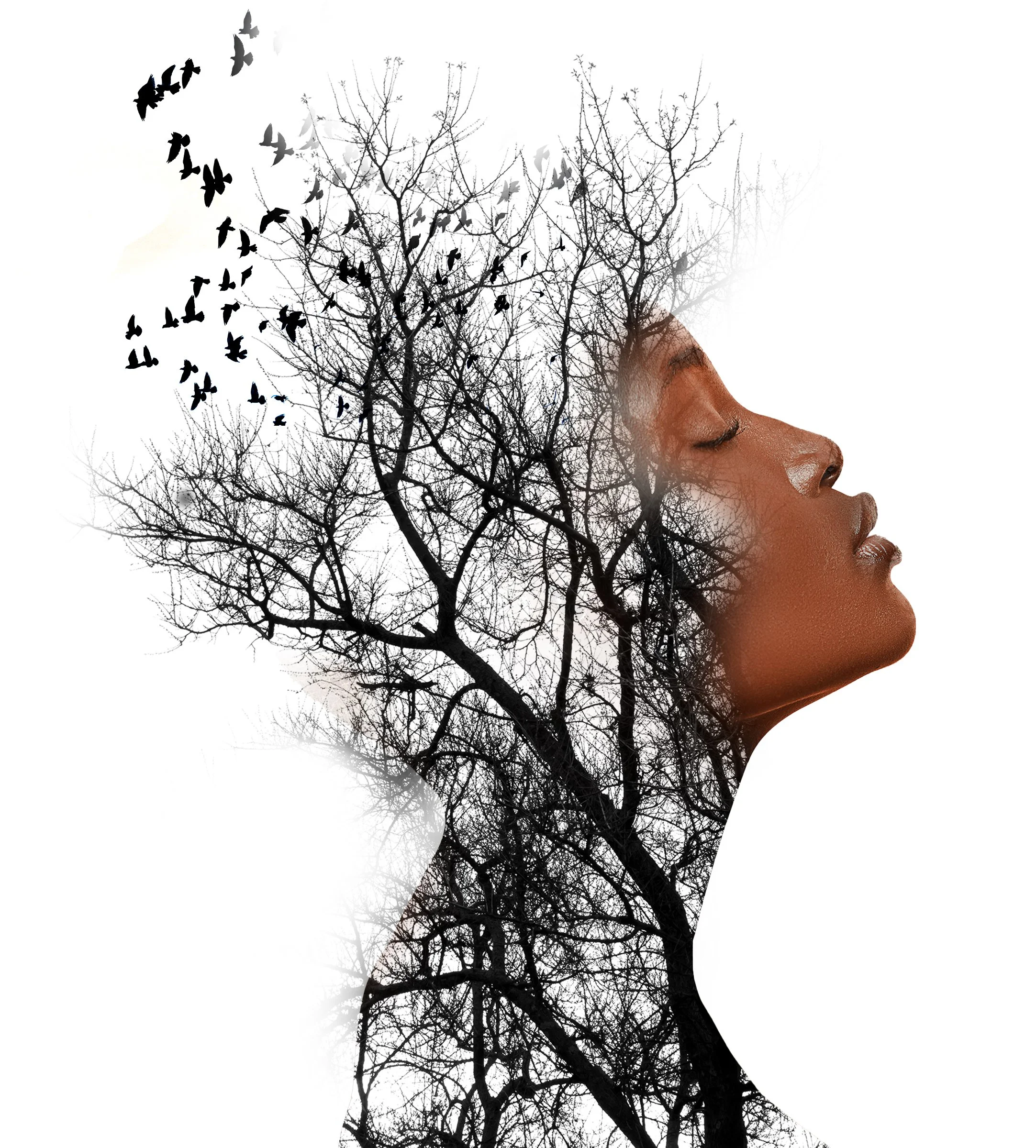 This image combines a woman's side profile with bare tree branches and flying birds. Her closed eyes create a peaceful and thoughtful mood, while the branches and birds represent emotions, personal growth, and freedom. The simple background highlight