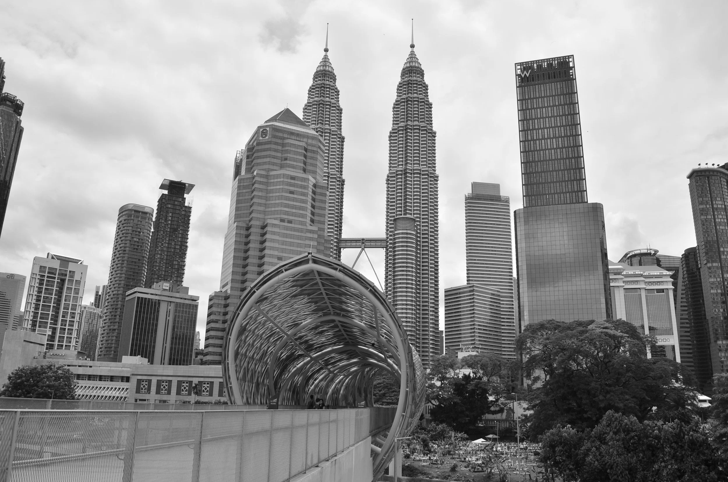 DSC_0481.JPG