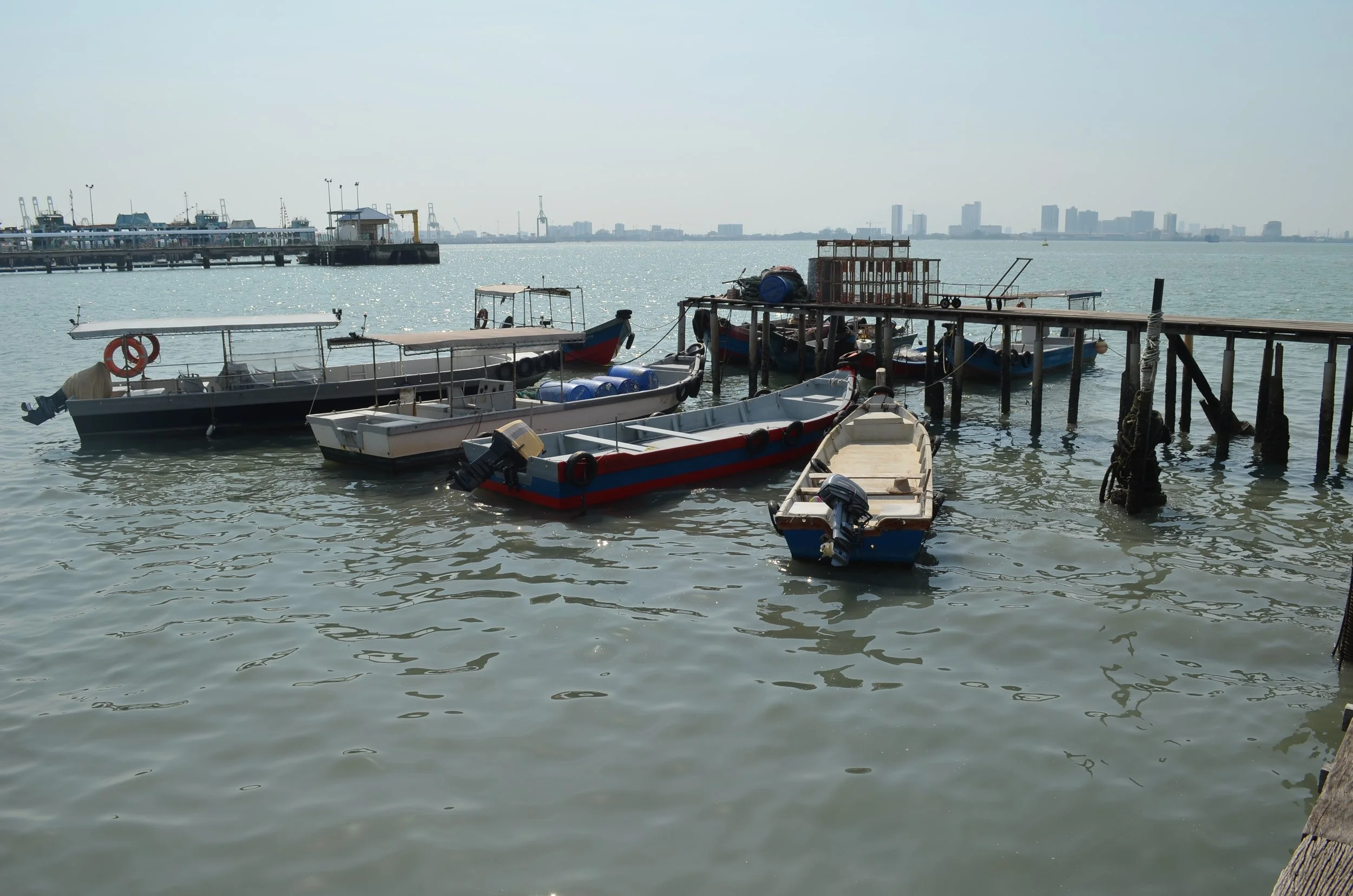 DSC_1602.JPG
