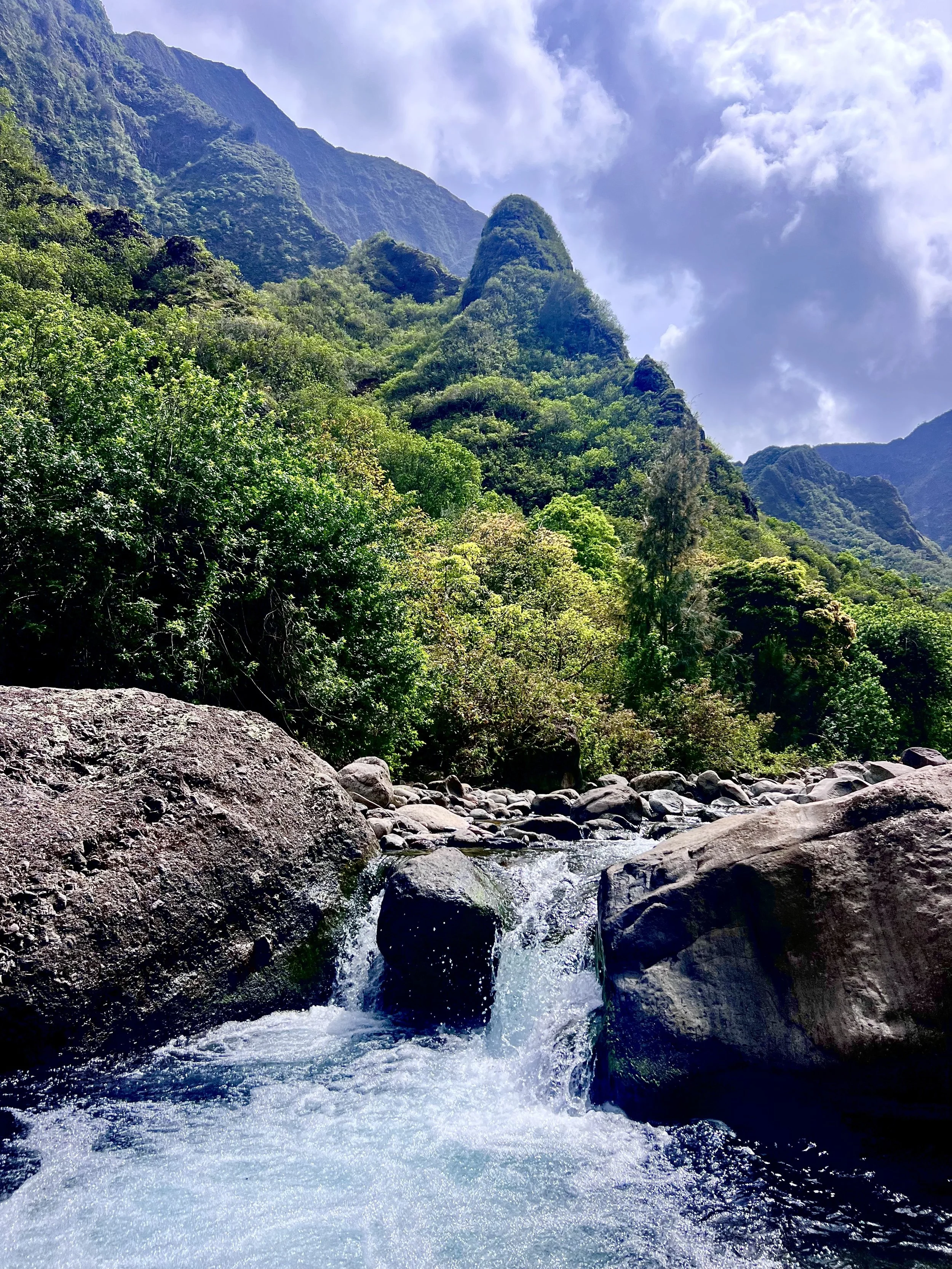 IAO VALLEY, MAUI