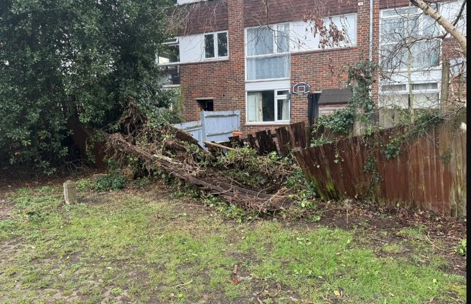 Fallen fence and overgrowth needing to be cleared and made safe