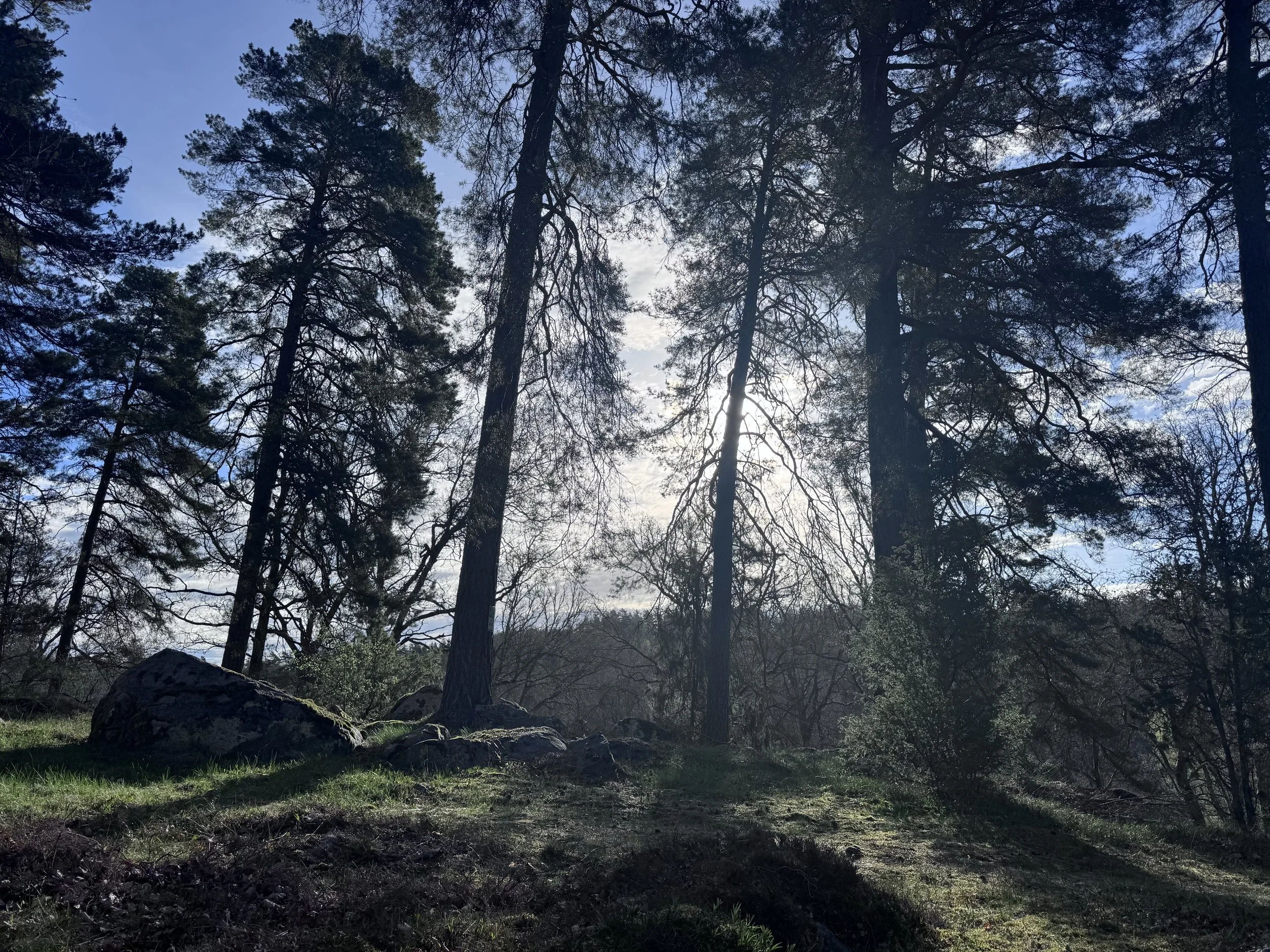 Månadens naturvakenhet - strosa i naturen