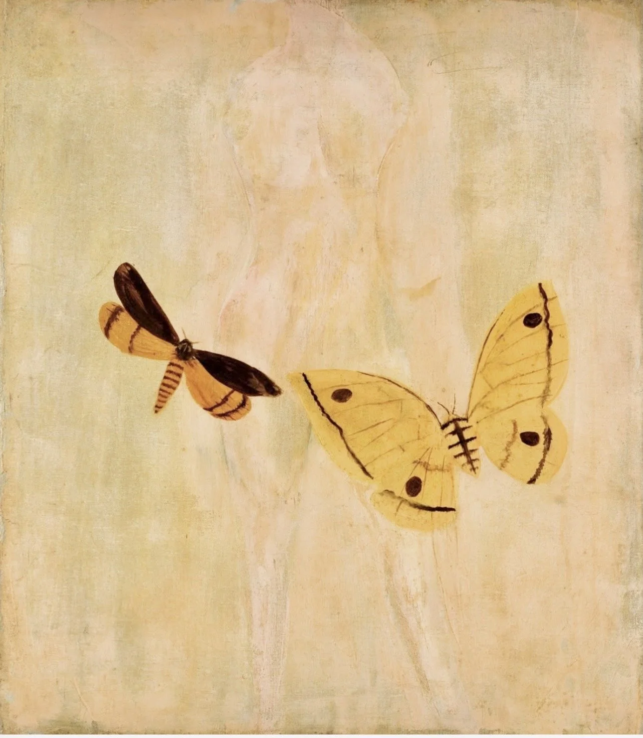 Healing and Radiance