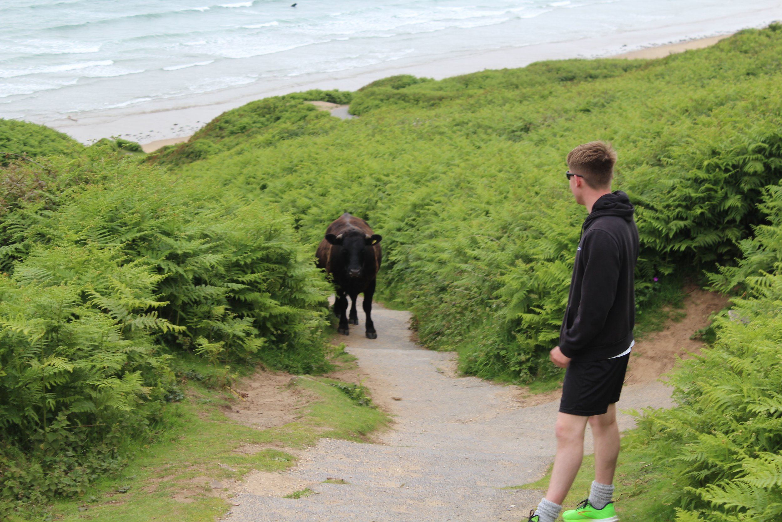 PPS Camping 2025 18.JPG