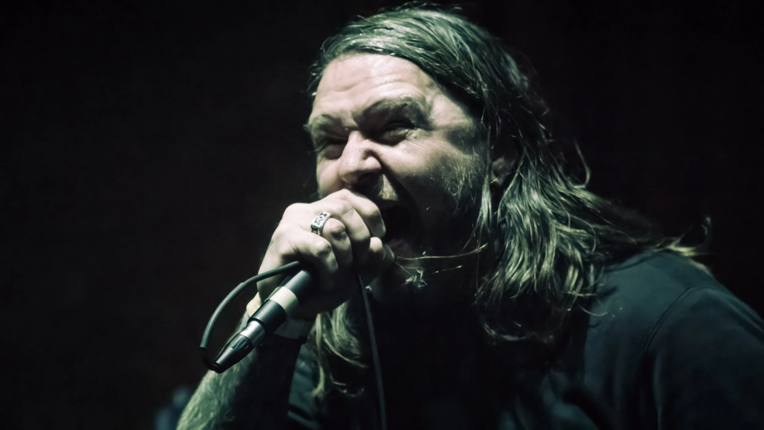 Copy of DSC08370-DeNoiseAI-severe-noise.jpg