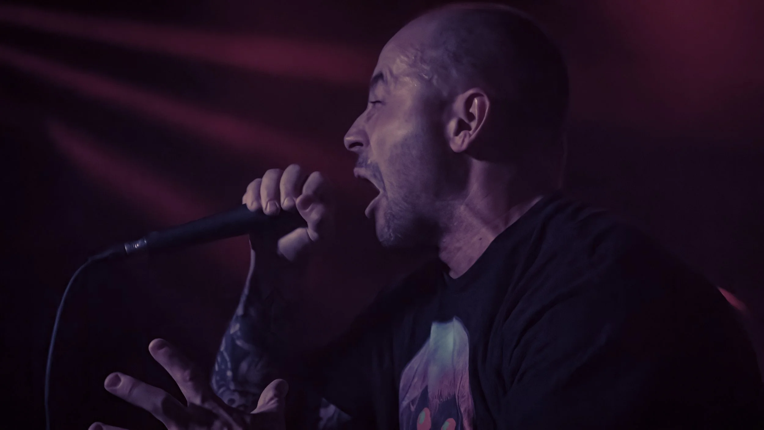 Copy of DSC07334-DeNoiseAI-low-light.jpg