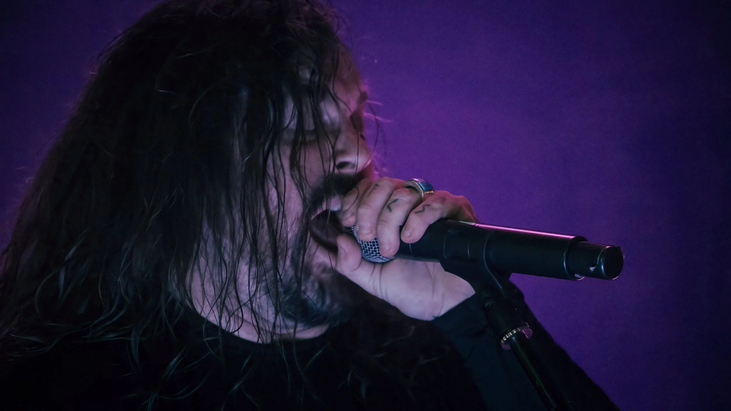 Copy of DSC09207-DeNoiseAI-severe-noise.jpg