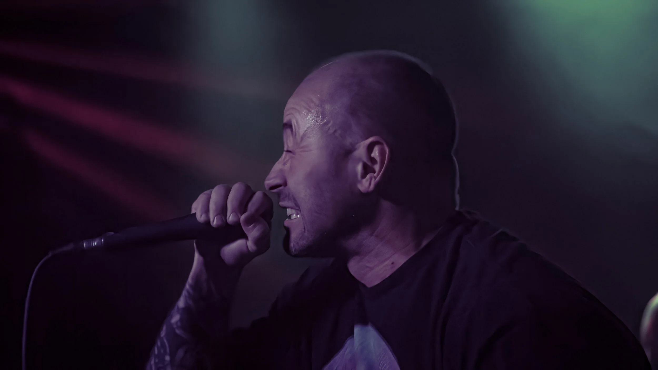 Copy of DSC07330-DeNoiseAI-low-light.jpg