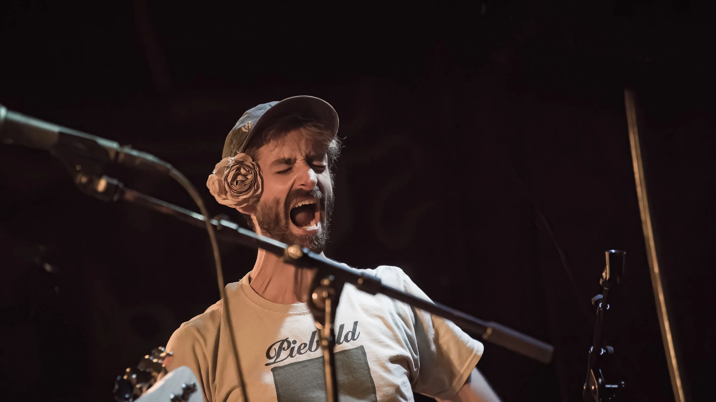 Copy of DSC06620-DeNoiseAI-low-light.jpg