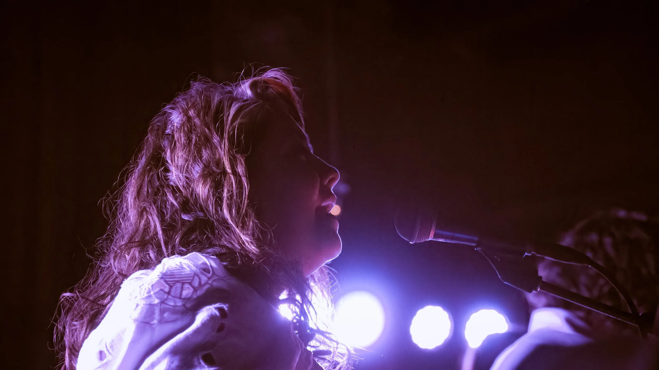 Copy of DSC06799-DeNoiseAI-low-light.jpg