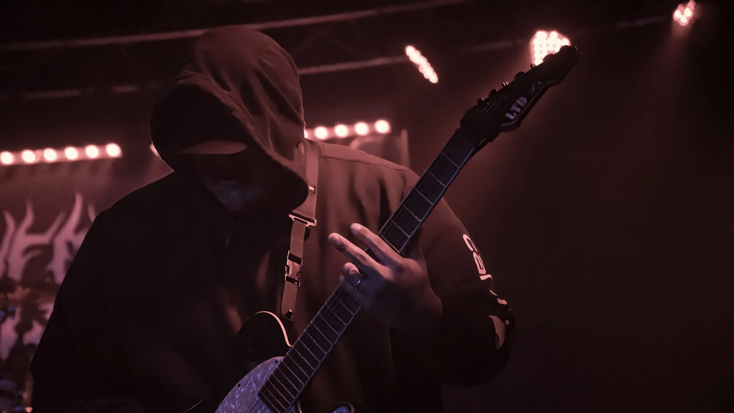 Copy of DSC06858-DeNoiseAI-low-light.jpg