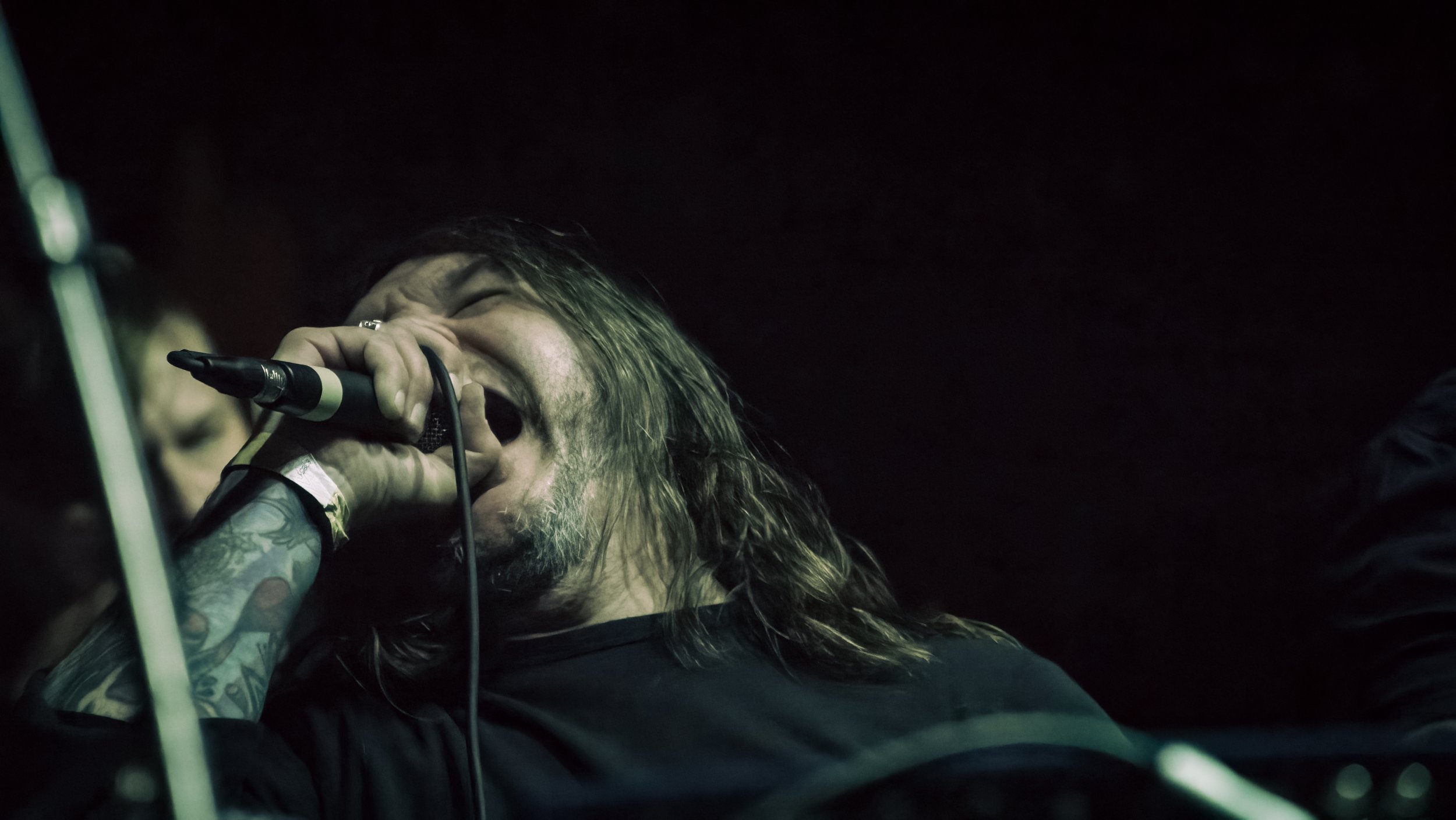 Copy of DSC08399-DeNoiseAI-severe-noise.jpg