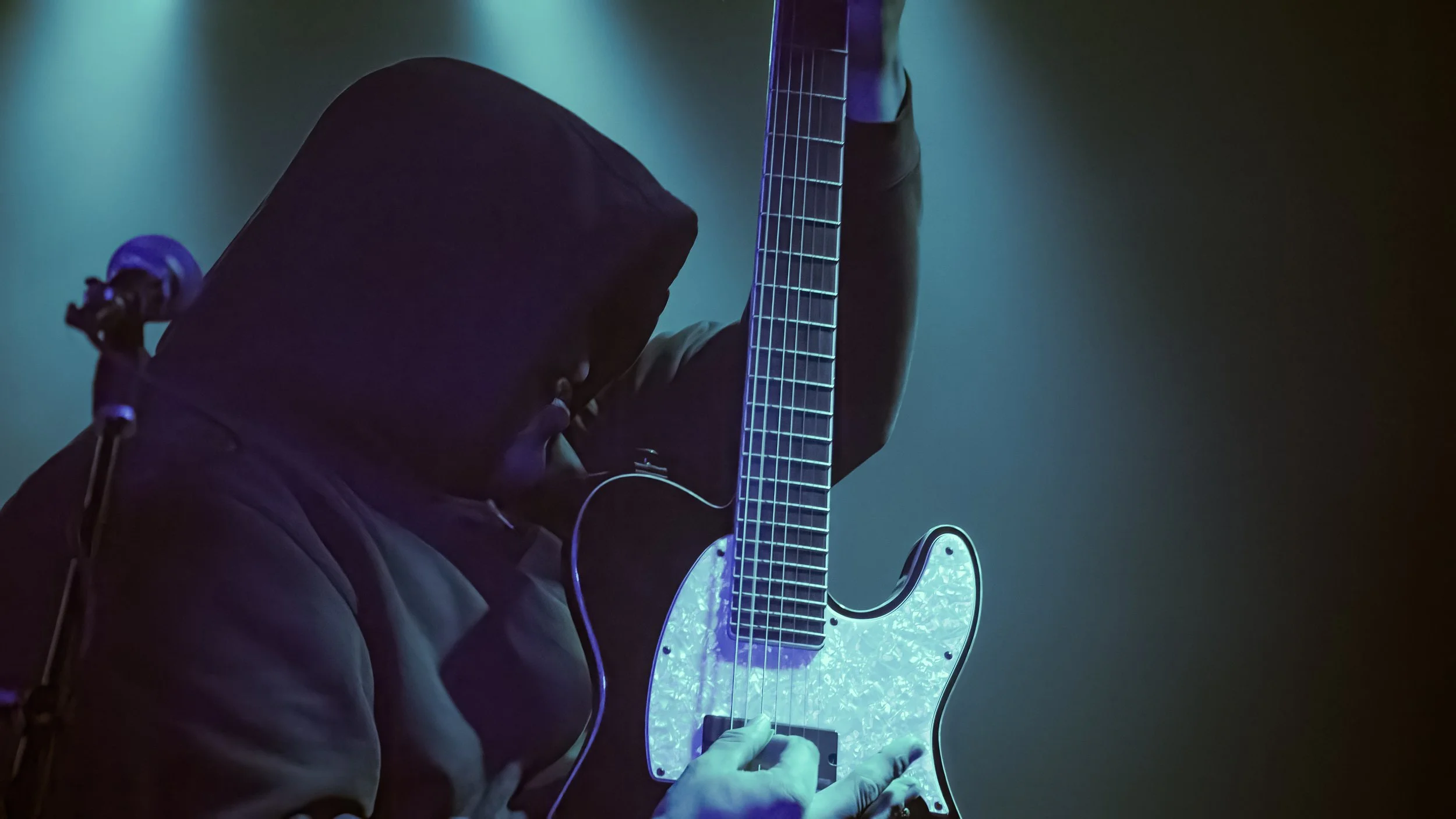 Copy of DSC06862-DeNoiseAI-low-light.jpg