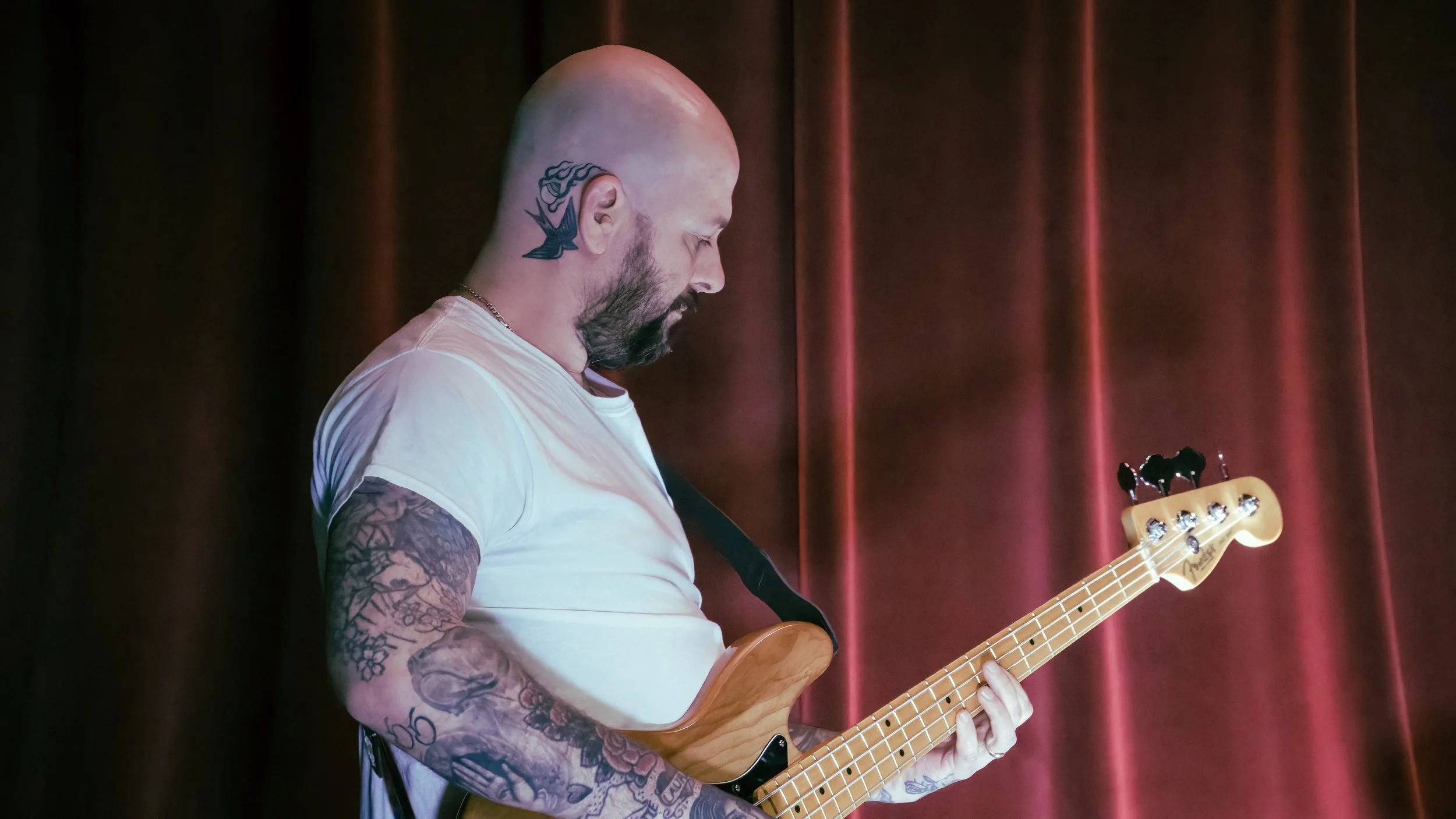 Copy of DSC09819-DeNoiseAI-severe-noise.jpg