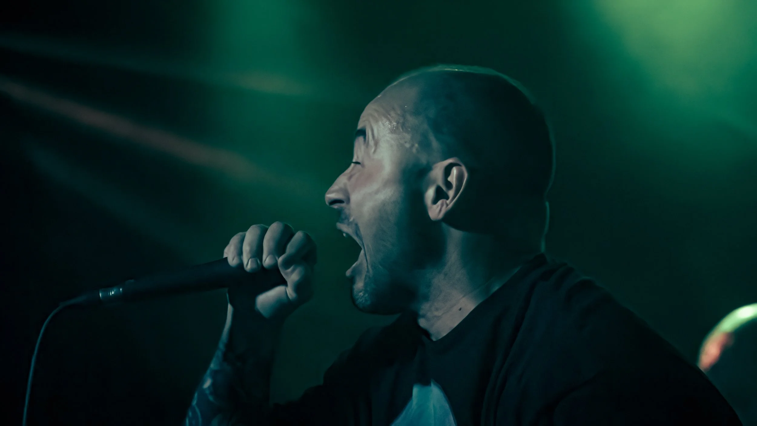 Copy of DSC07331-DeNoiseAI-low-light.jpg