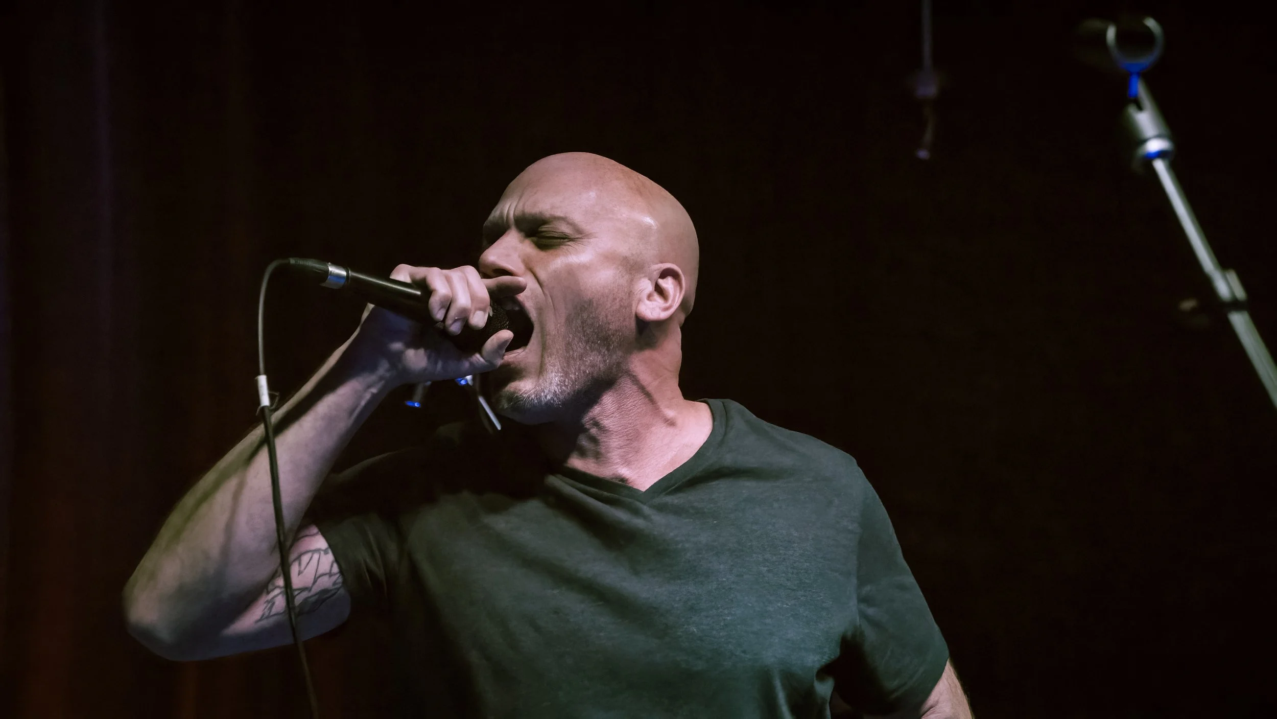 Copy of DSC09852-DeNoiseAI-severe-noise.jpg