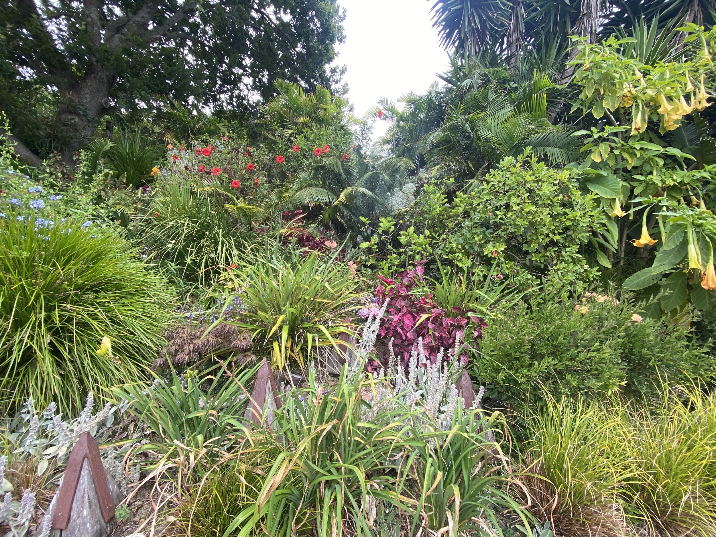 IMG_1445.jpeg