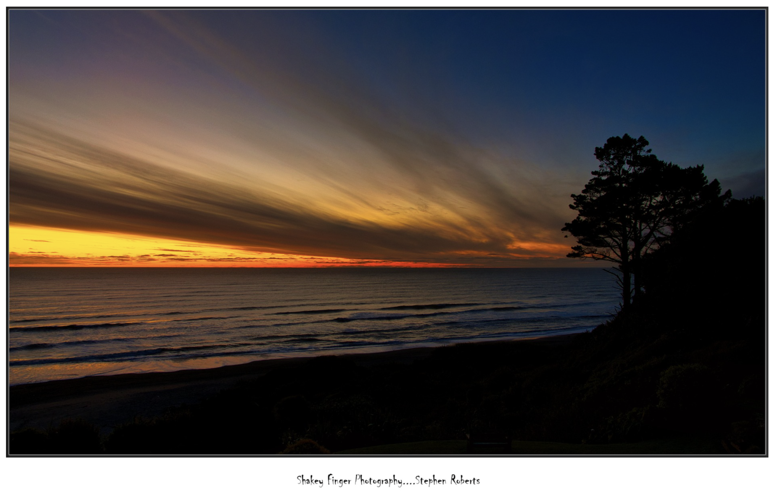 Screenshot 2026-03-03 at 4.47.09 pm.png