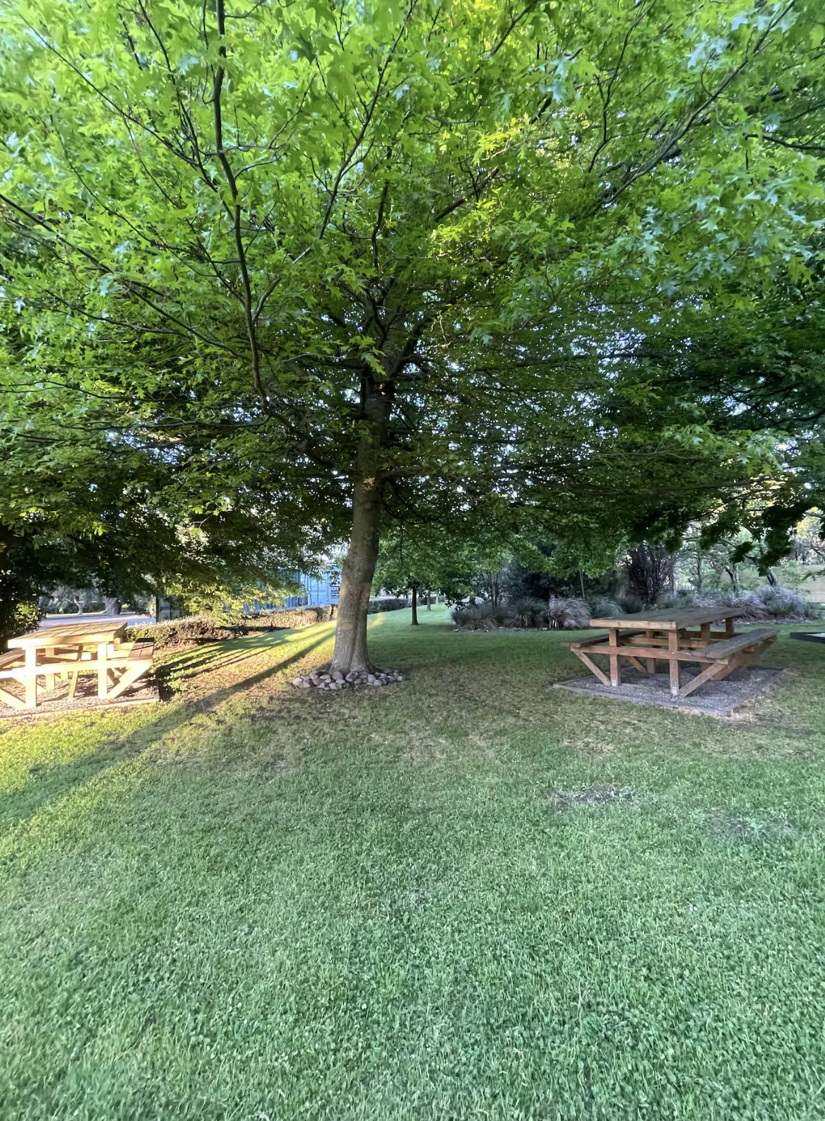 Screenshot 2026-02-18 at 3.08.31 pm.png