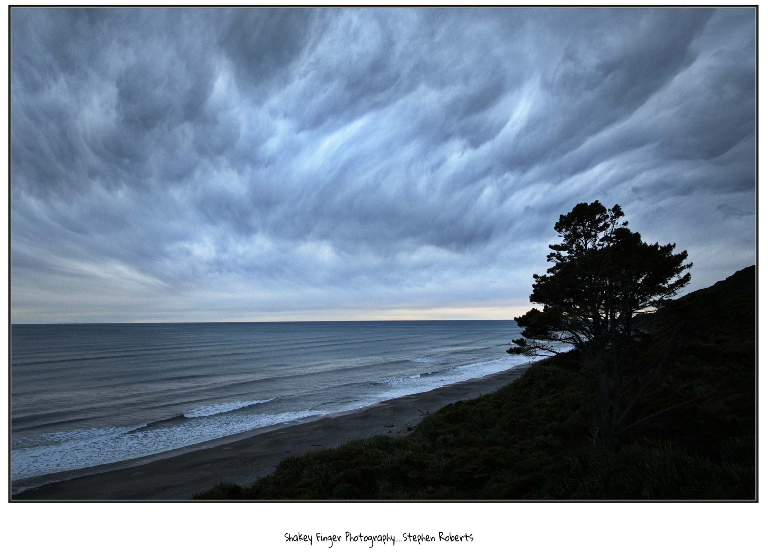 Screenshot 2026-03-03 at 4.49.18 pm.png