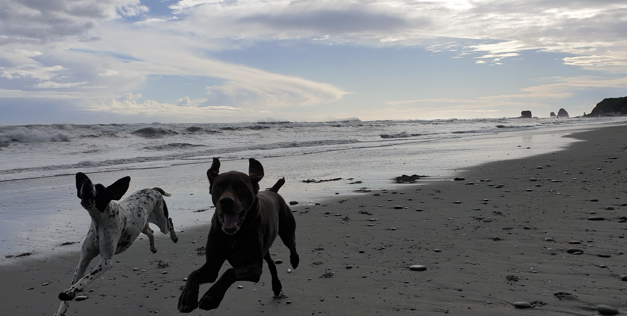 Screenshot 2026-03-03 at 4.48.31 pm.png