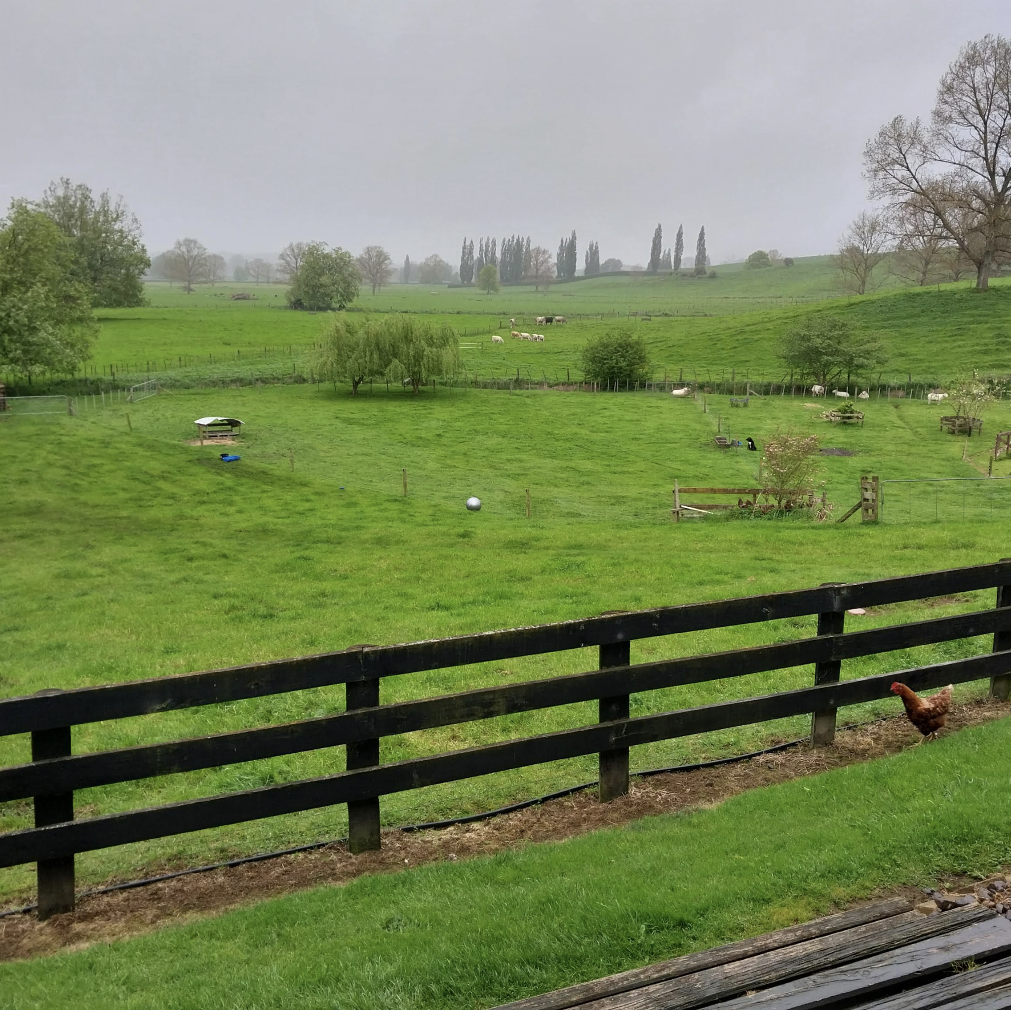 You are more than welcome to take a stroll around the property during your stay
