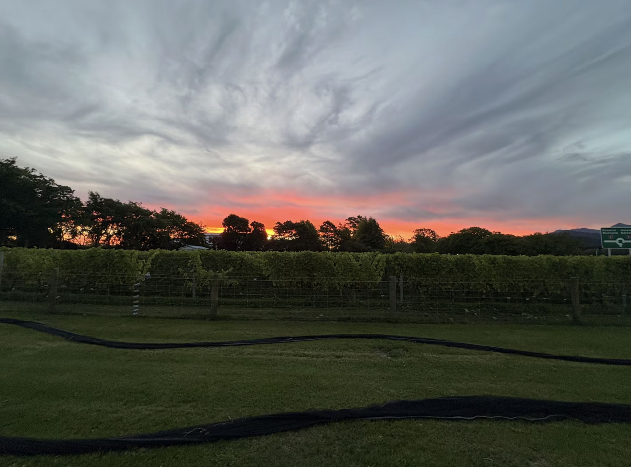 Screenshot 2026-02-18 at 3.09.00 pm.png