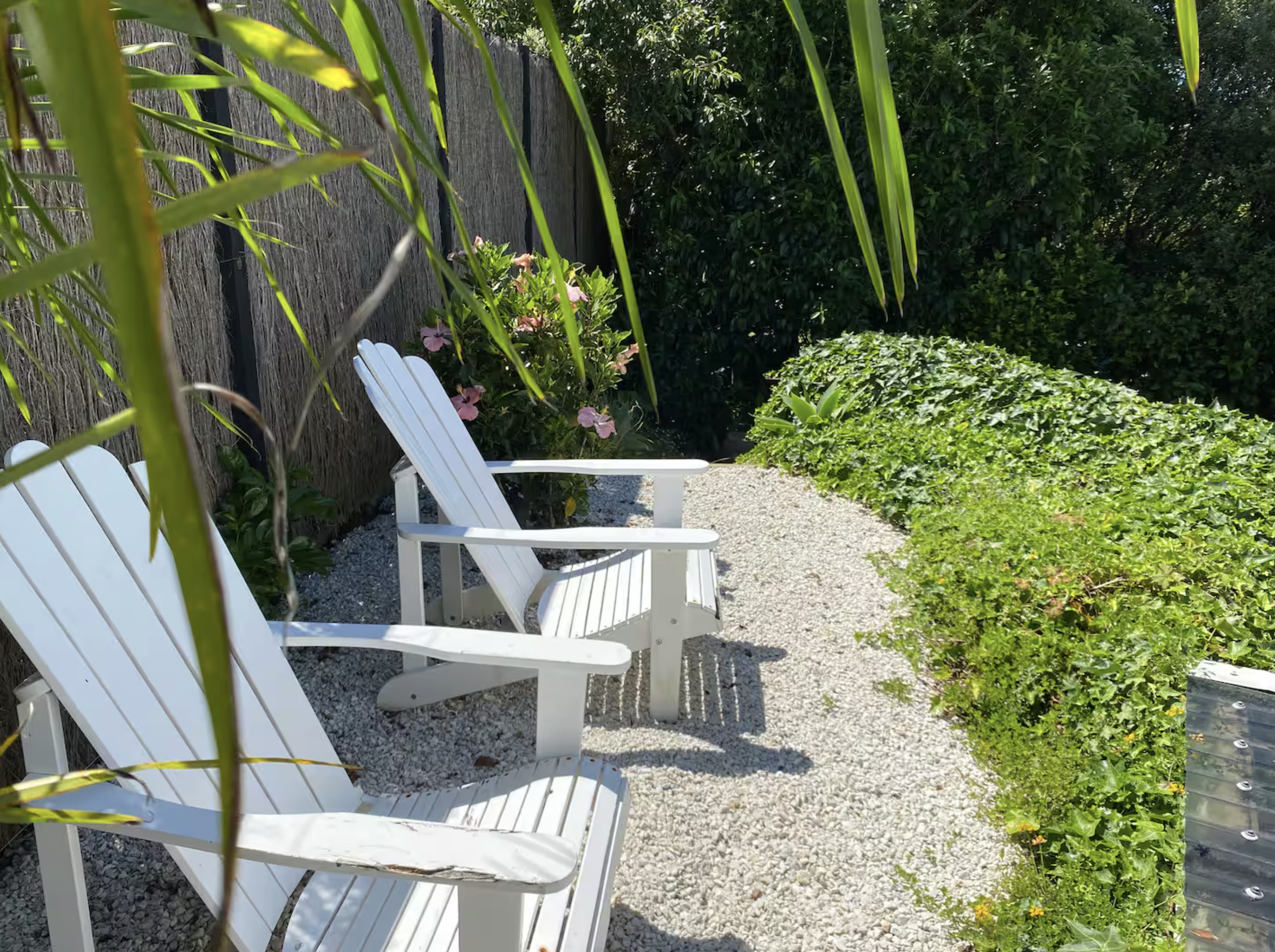 Screenshot 2026-02-11 at 6.20.21 pm.png