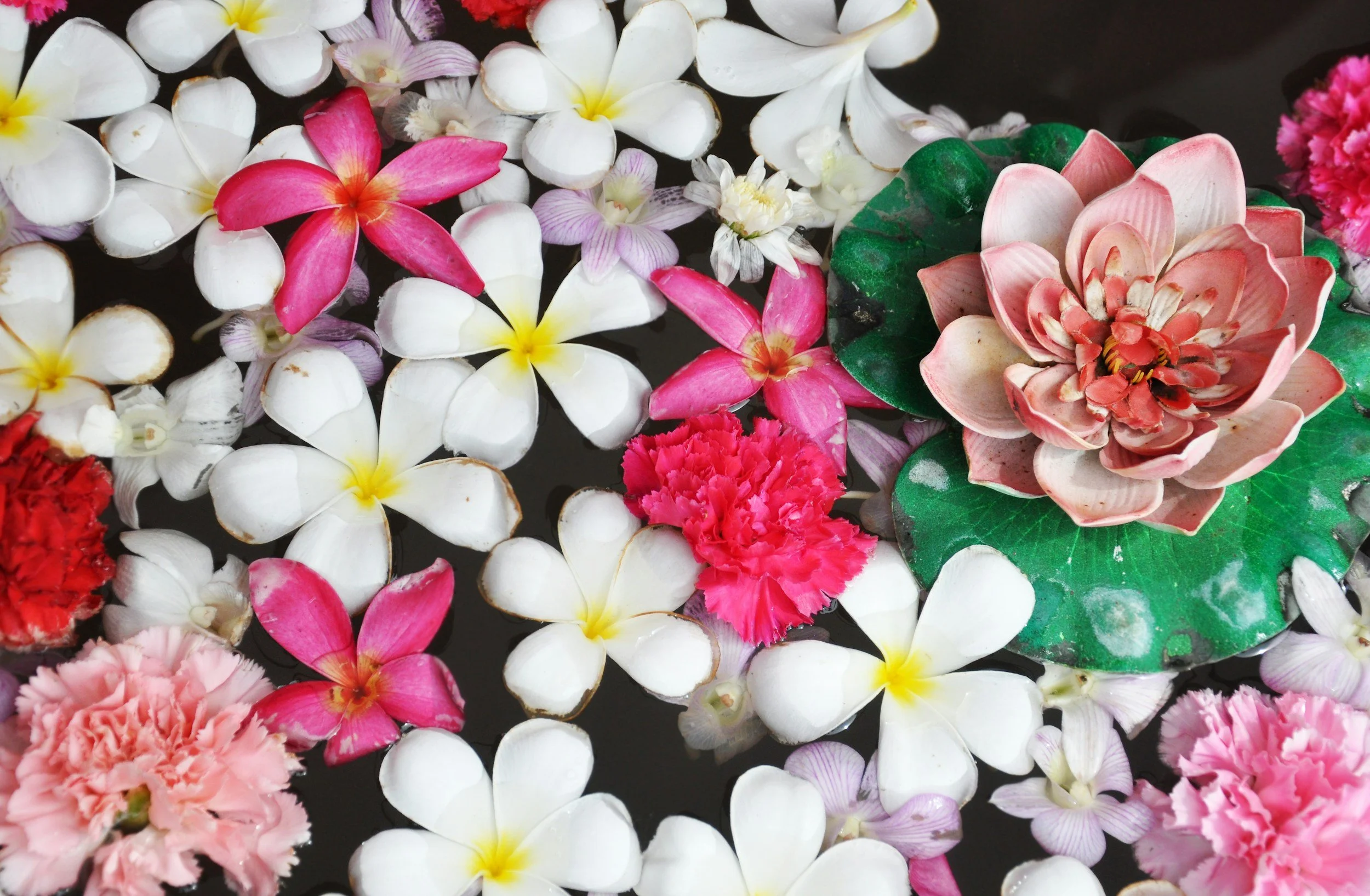Assorted floating flowers including white, pink, and purple blossoms, with a large pink water lily and green lily pads